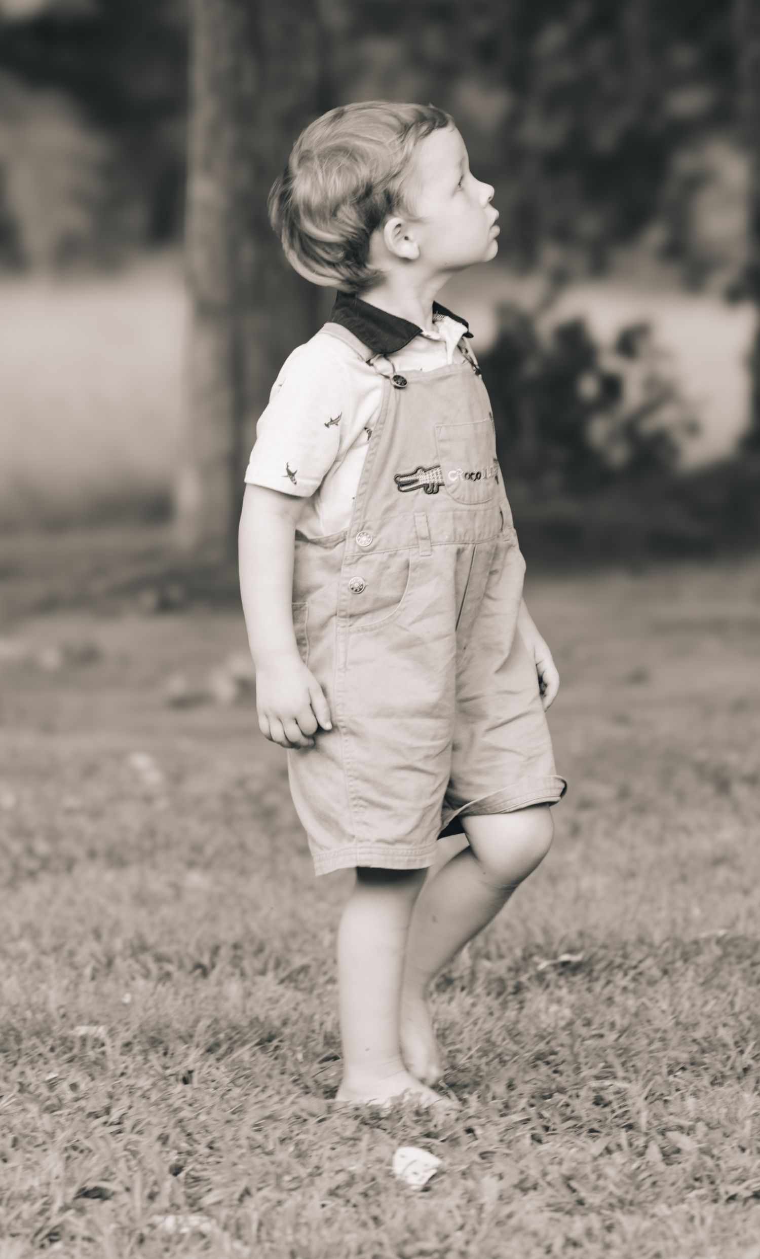 Black and white photo of a young child in overalls standing on grass, looking up with curiosity outdoors.