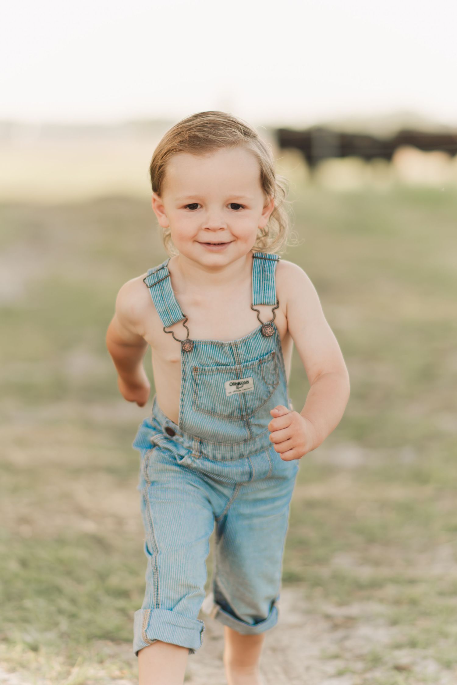Happy toddler in denim overalls running toward camera in a sunny open field with cattle in background.