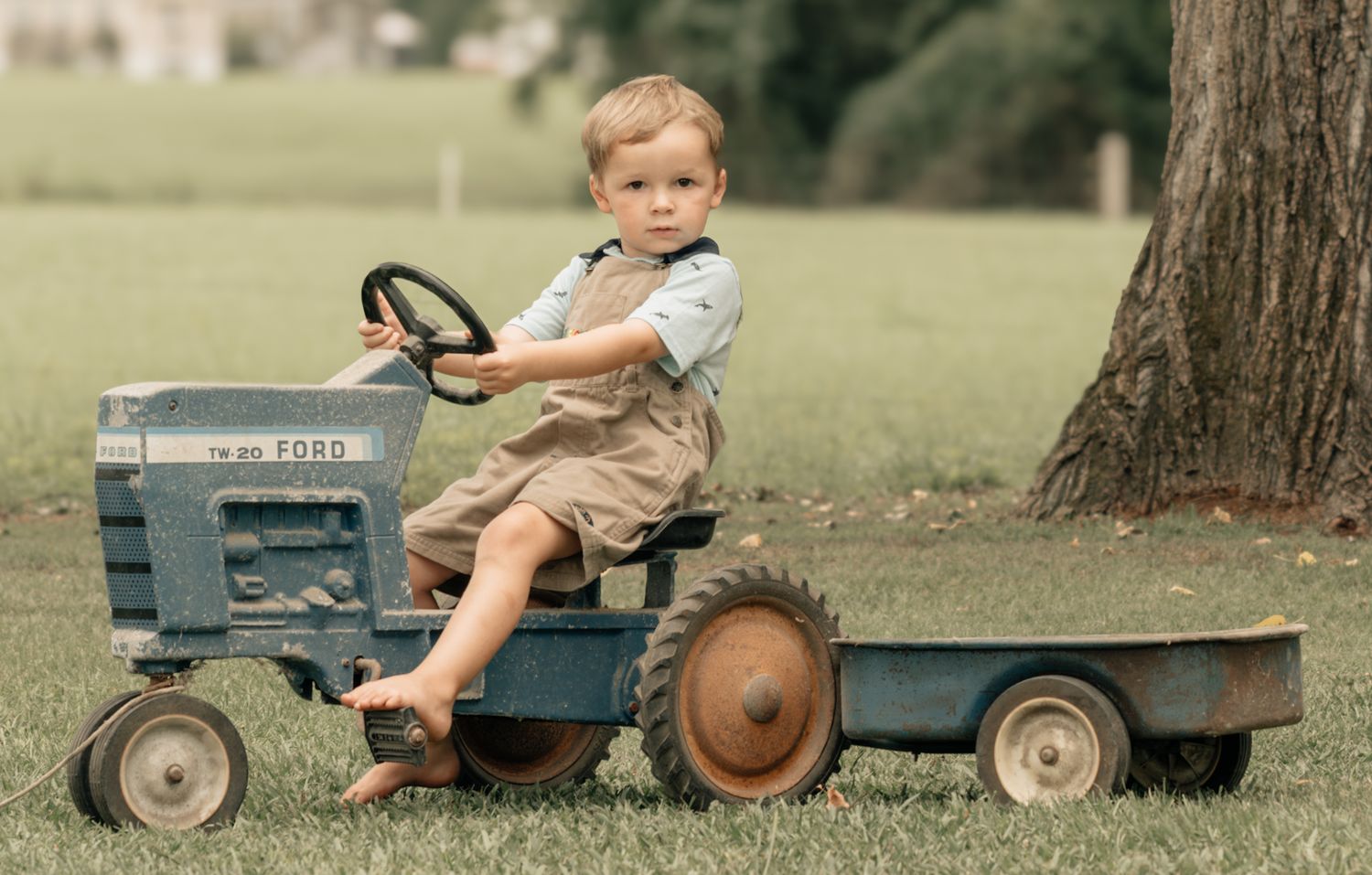 Young boy sitting on a vintage blue pedal tractor toy with trailer on green grass near a tree.