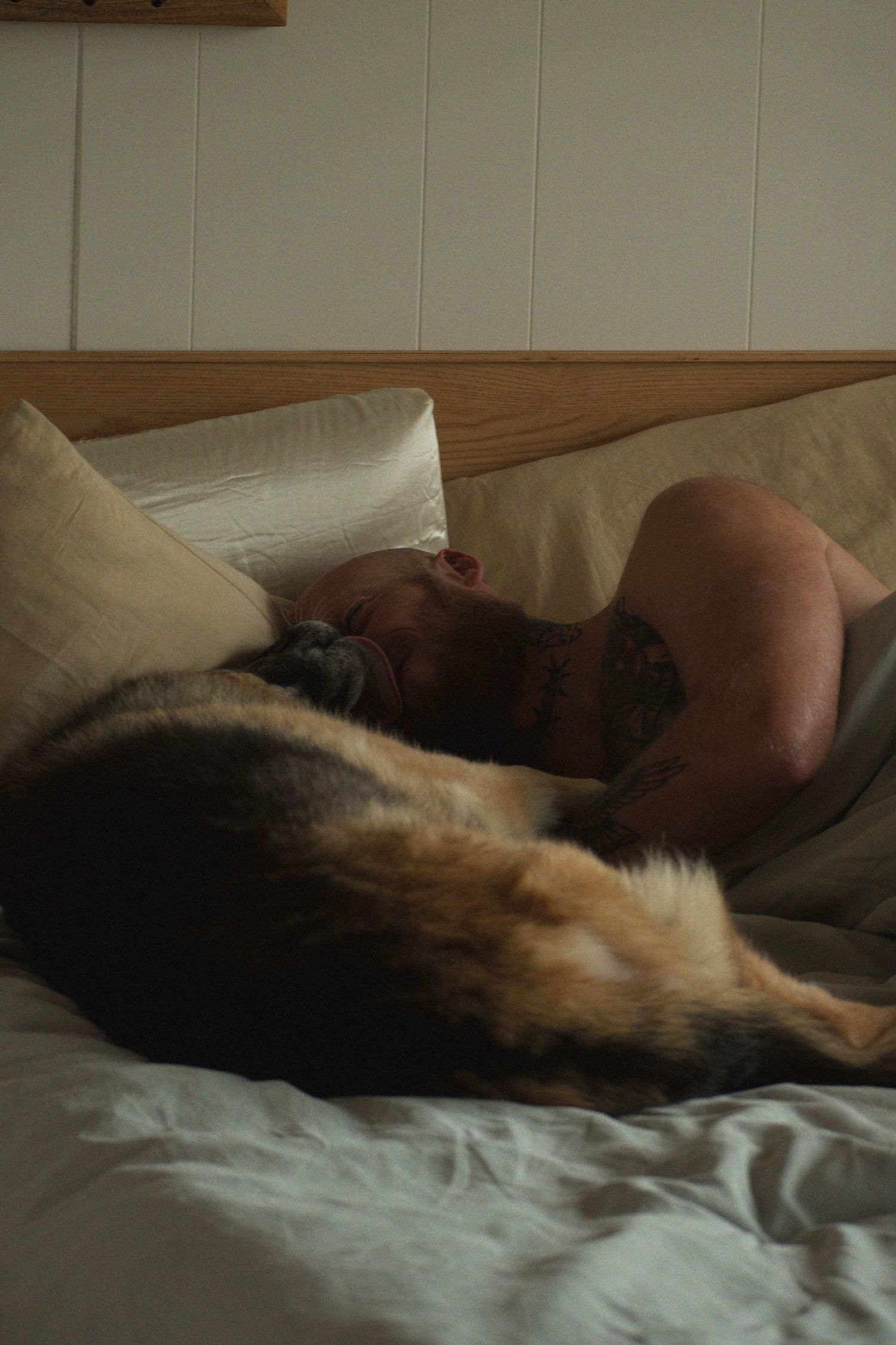 Tattooed person sleeping peacefully in bed with a fluffy dog curled up beside them on white bedding.