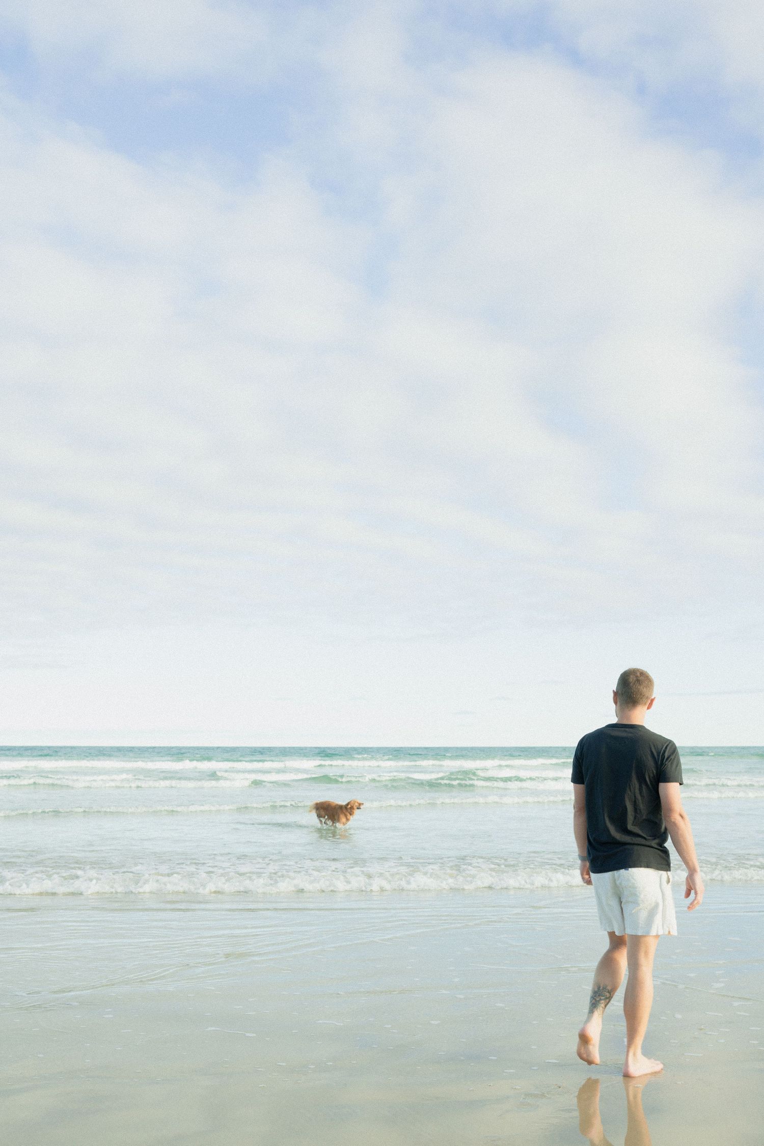 Man in black t-shirt walking barefoot on a beach while a golden dog runs toward the ocean waves.