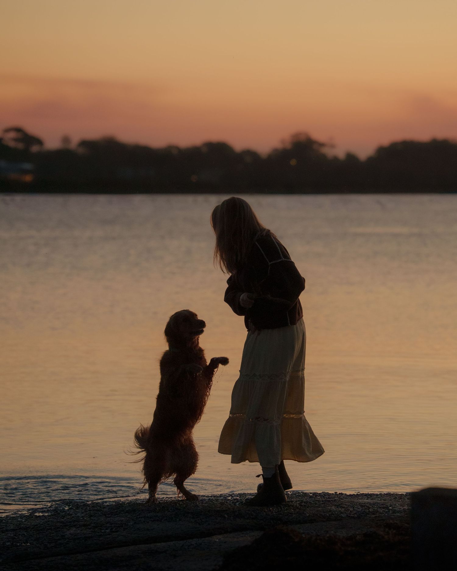 Woman training dog to stand on hind legs by a lake at sunset.