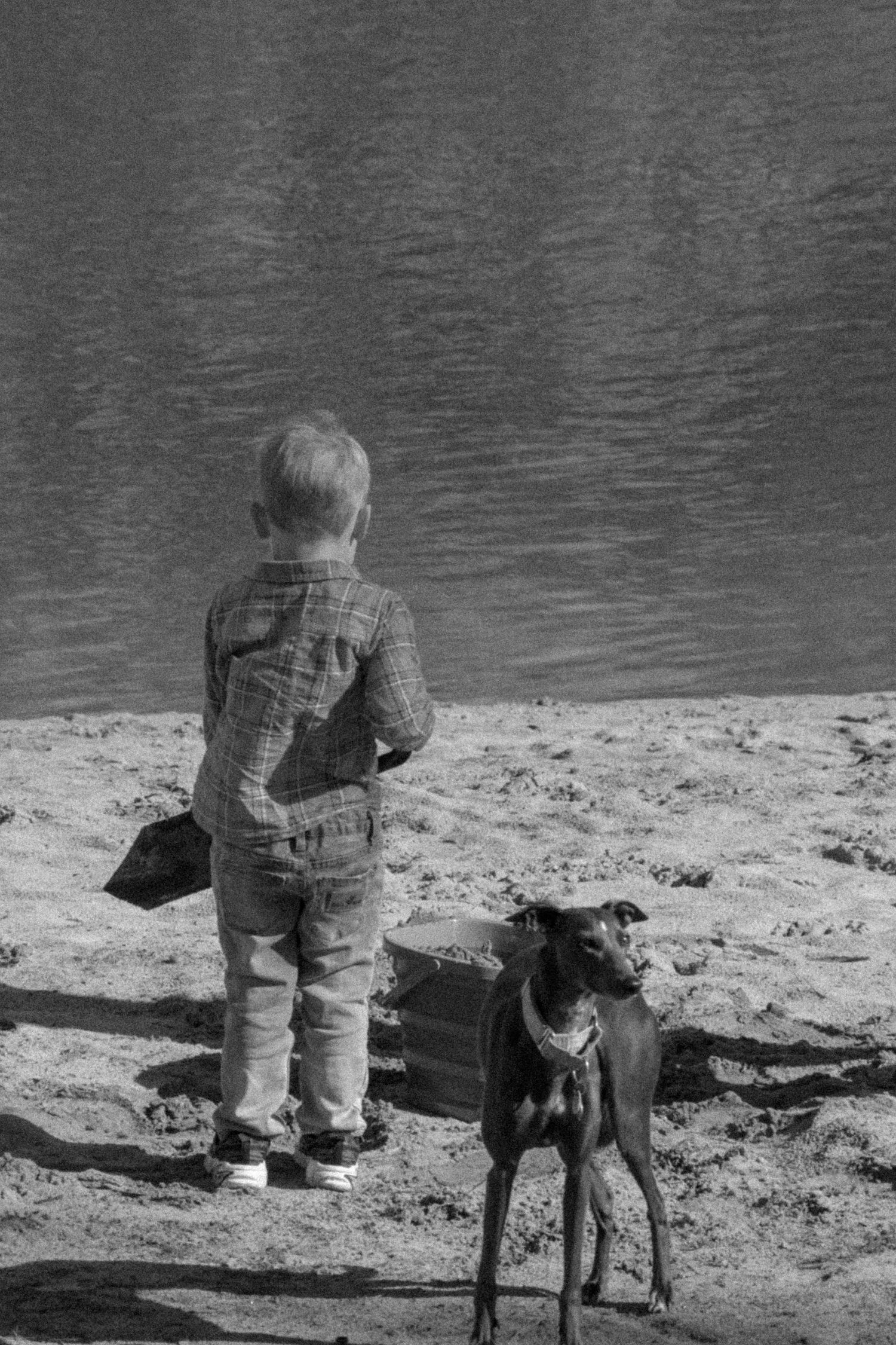 Young boy standing with a dog by a lake shore in black and white.