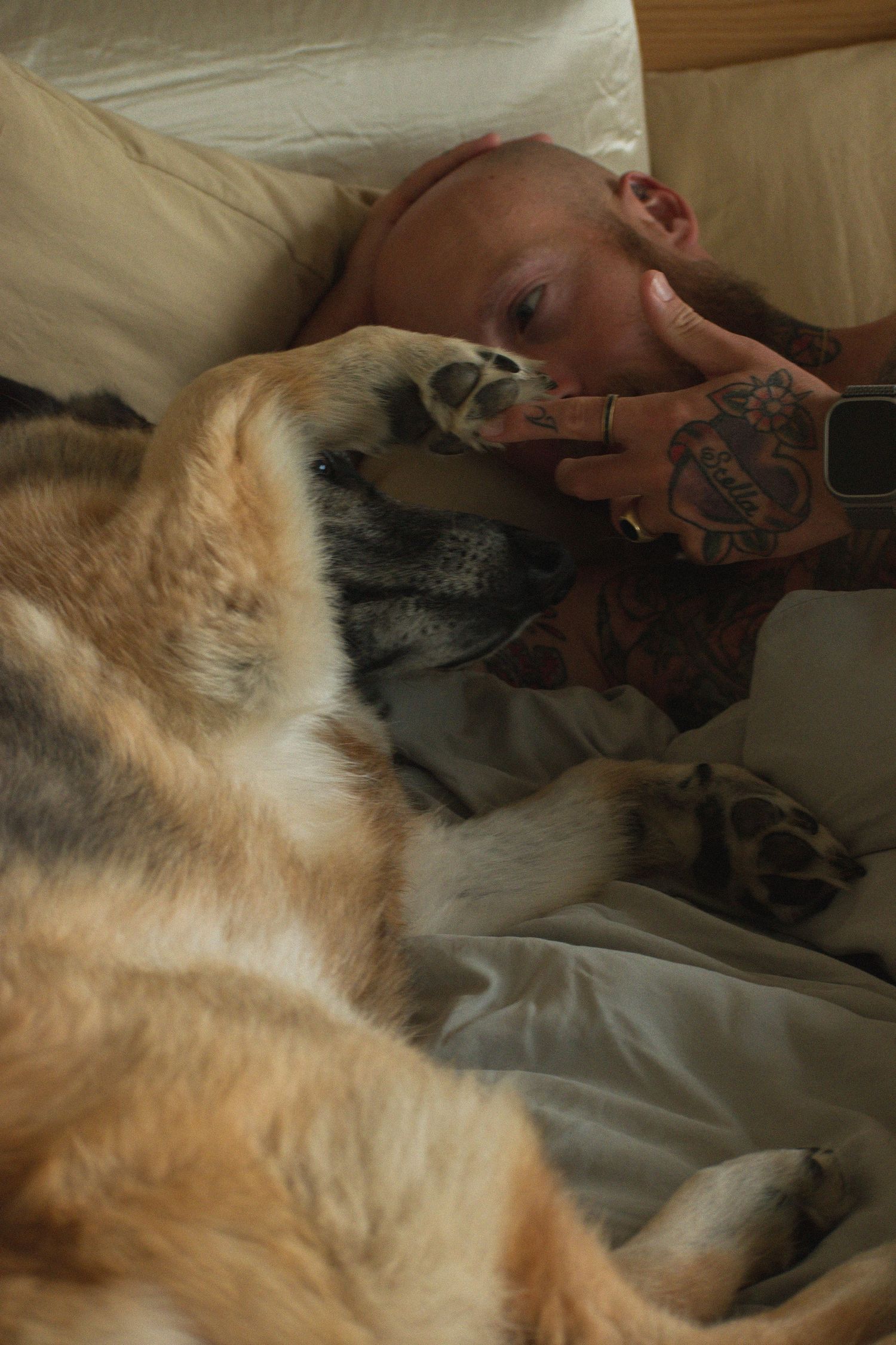 Tattooed person lying in bed taking a selfie with a large German Shepherd dog resting its paw on their face.