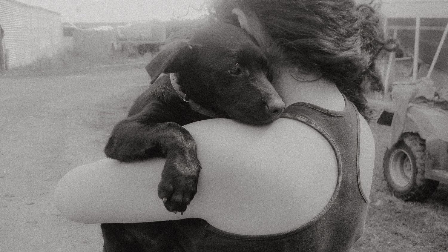 Person tenderly holding a small black puppy on their shoulder in black and white.