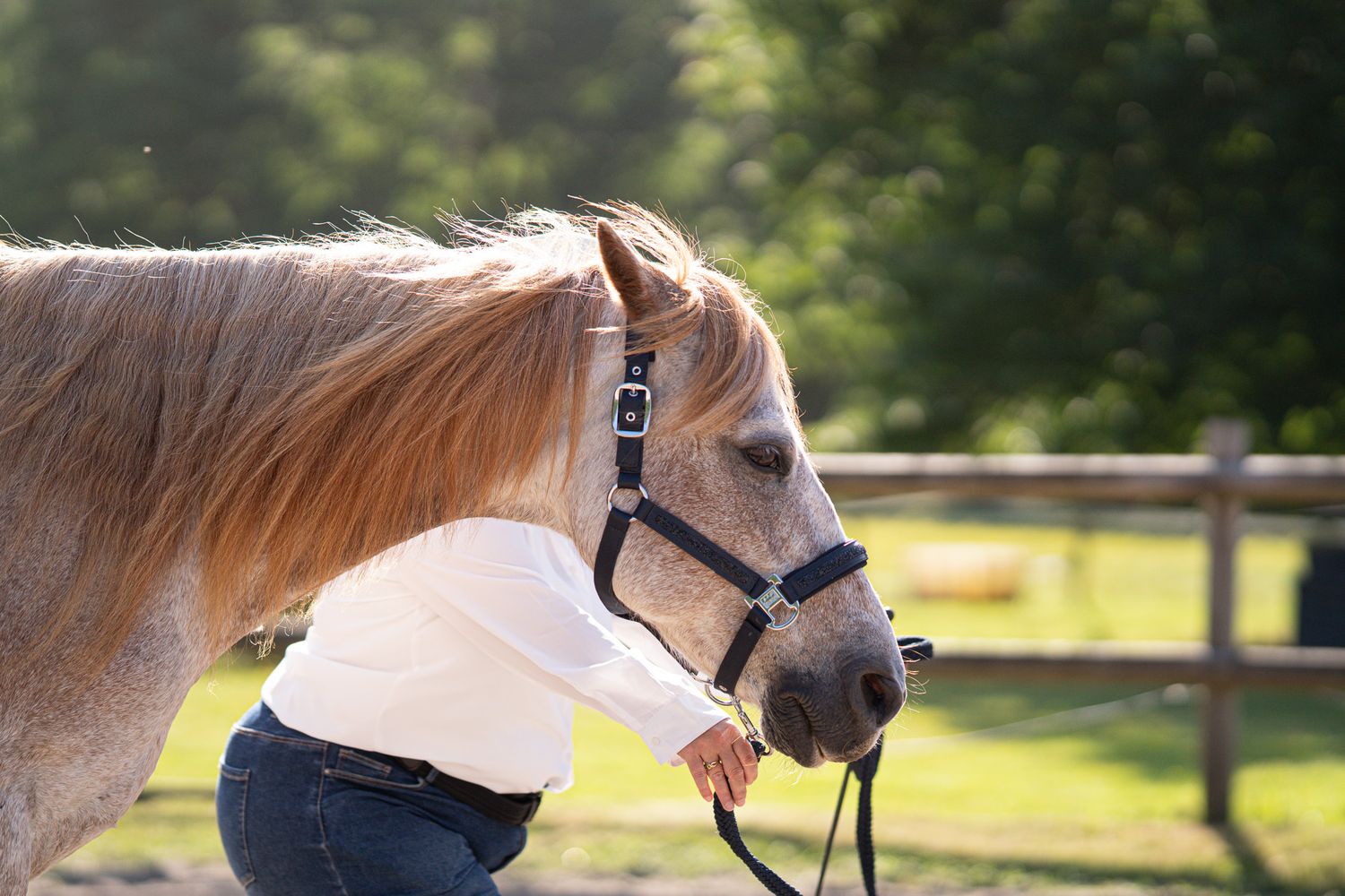 Cavalière et son cheval Pepite Ranch Open 2026