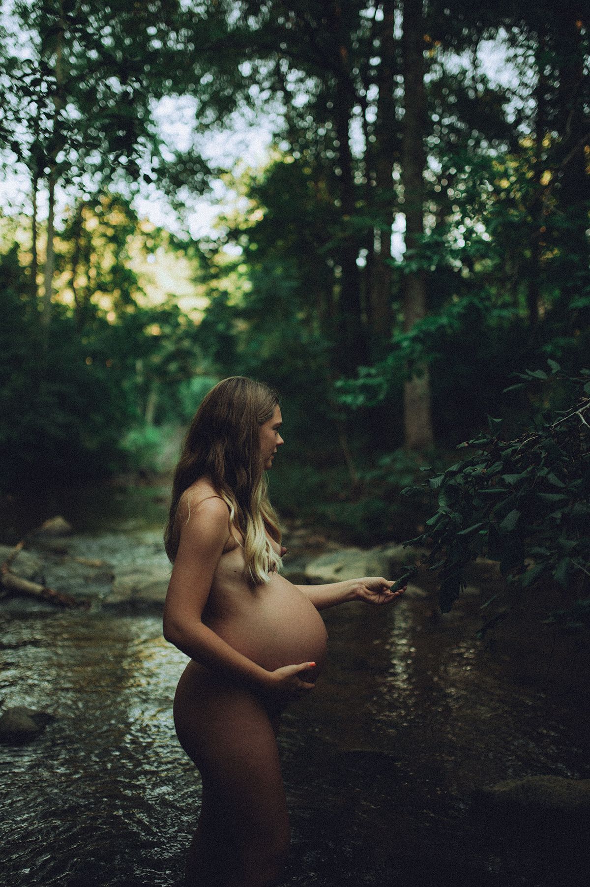 A maternity boudoir portrait in a serene forest stream at dusk, creating a peaceful nature-inspired maternity scene in Spartanburg, SC.