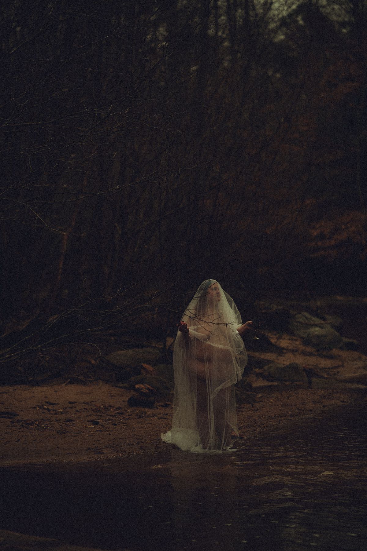 Ecosomatic, nature-based, dark and moody, fine art nude photography in Spartanburg, South Carolina.