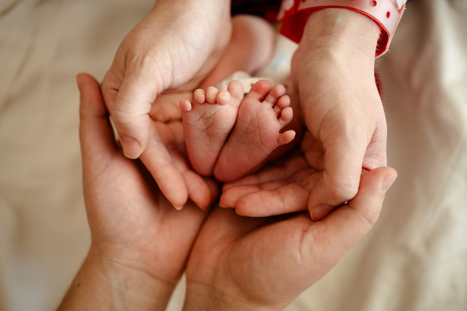 Parents hands holding small baby feet in a tender moment during Fresh 48 photography session in Avon, Indiana by Katy Rose Photography