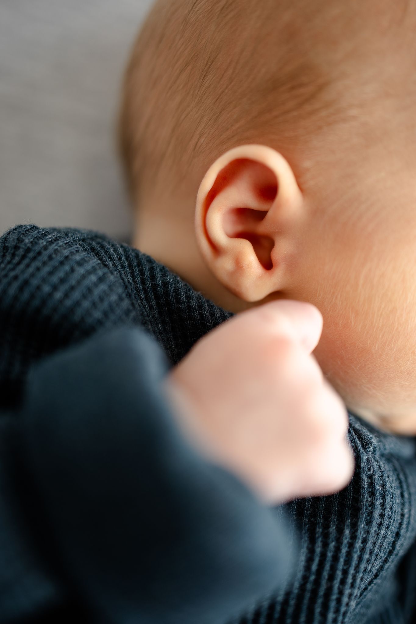 Close-up profile view of baby wearing dark knit clothing during newborn photos in Avon, Indiana by Katy Rose Photography.