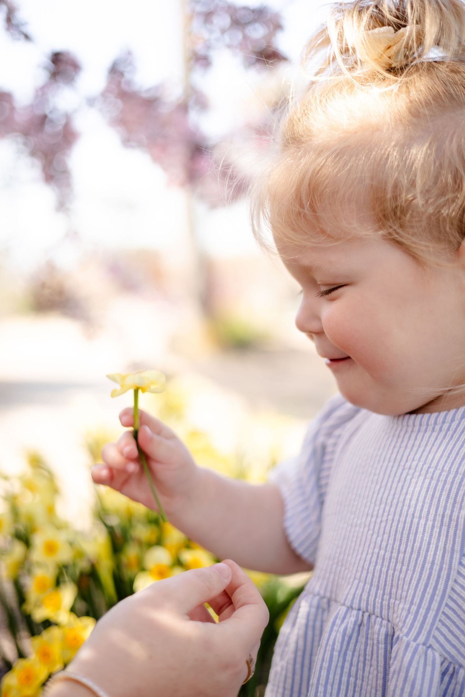 Toddler girl in blue dress smiling while holding a yellow daffodil outdoors in a sunny spring garden during Indianapolis family session.