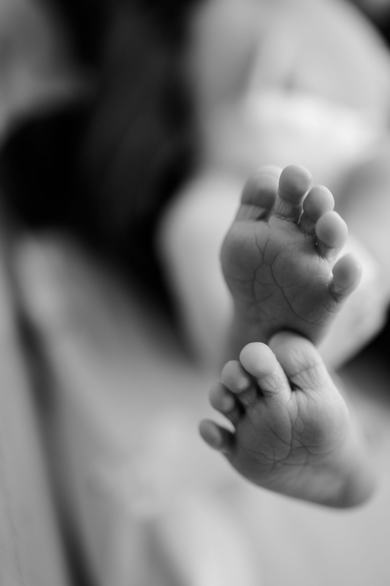 Black and white close-up photos of tiny baby feet in artistic detail during Fresh 48 Session in Avon, Indiana by Katy Rose Photography.