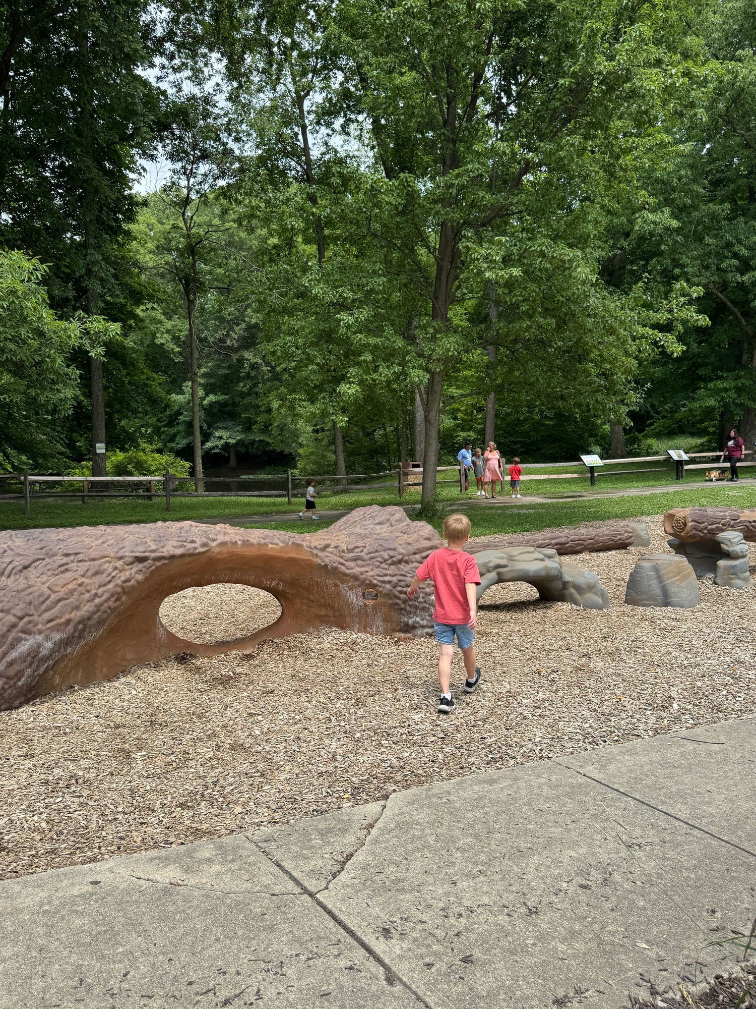 A young boy explores a natural playground with log sculptures and wood chip ground cover in Hendricks County at Washington Township Park.