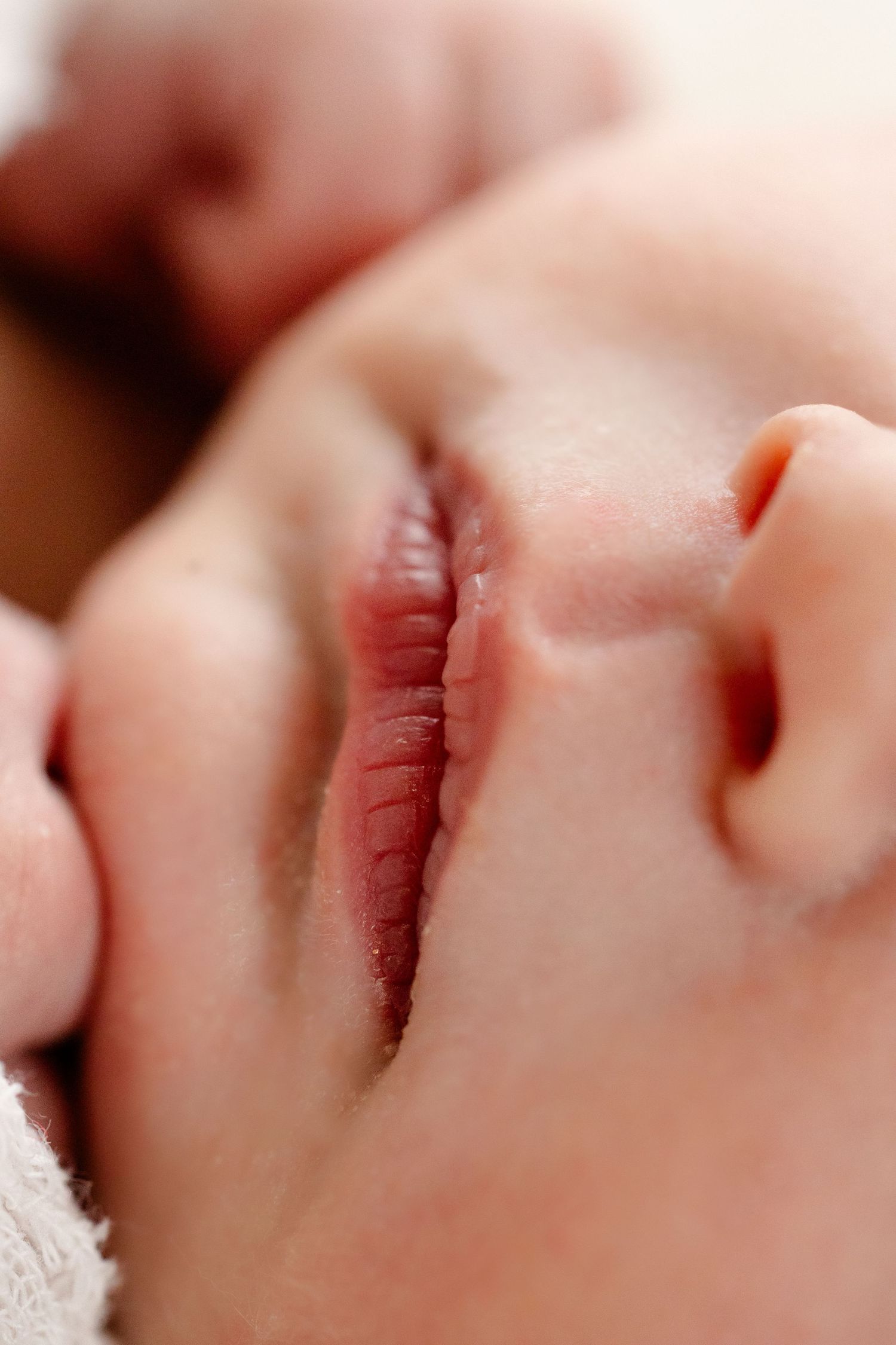 Macro photograph of a sleeping baby's peaceful lips and nose during newborn photography session in Indianapolis by Katy Rose Photography