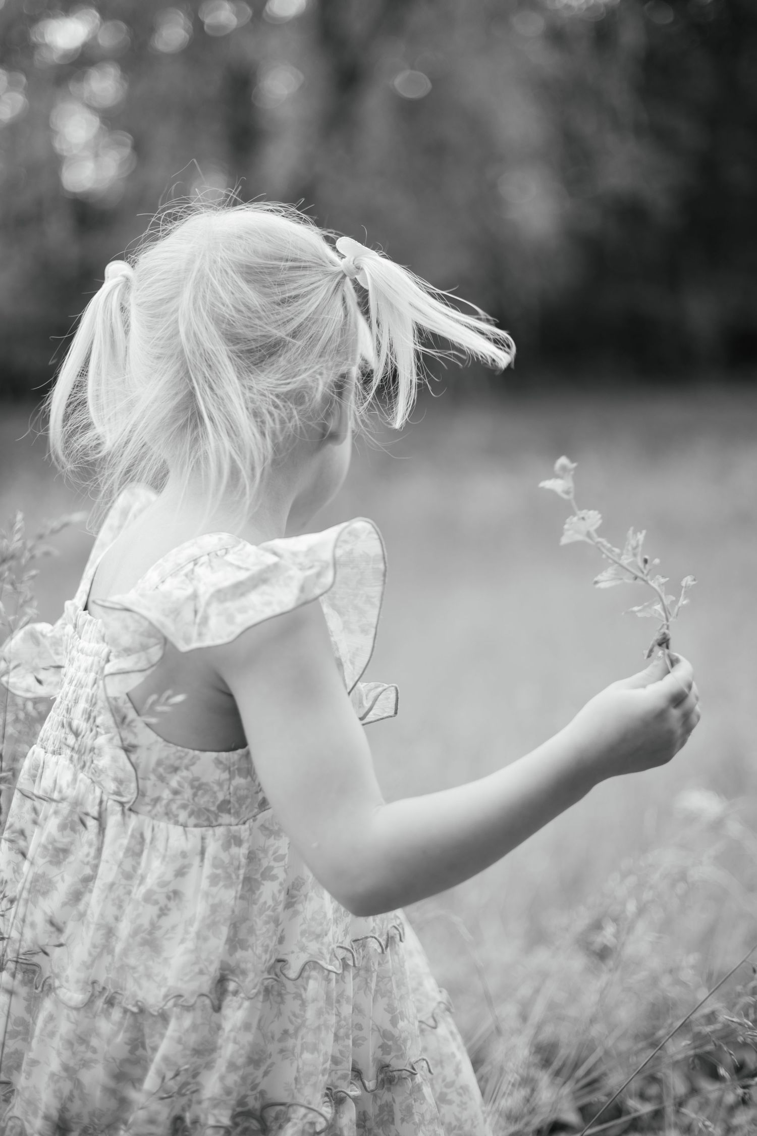 Black and white photo of a young blonde girl in a floral dress holding a wildflower stem in a meadow.