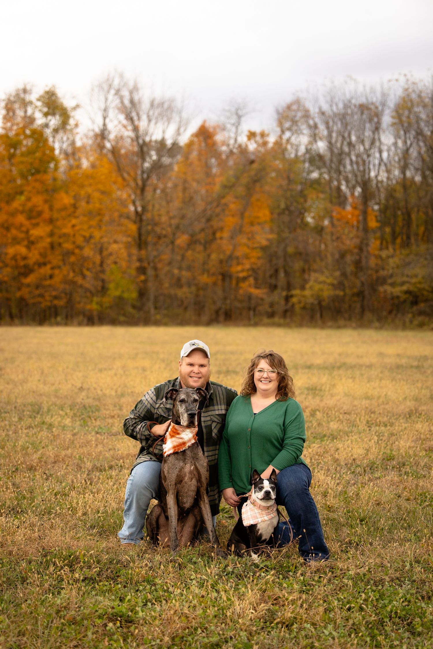 A couple poses with their two dogs in an autumn field with colorful trees in the background during family session in North Salem, Indiana.