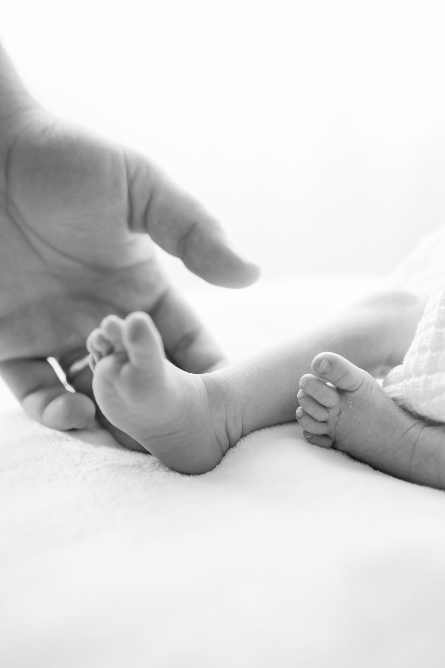 Black and white photo of a newborn baby's tiny feet with an adult hand gently reaching toward them.