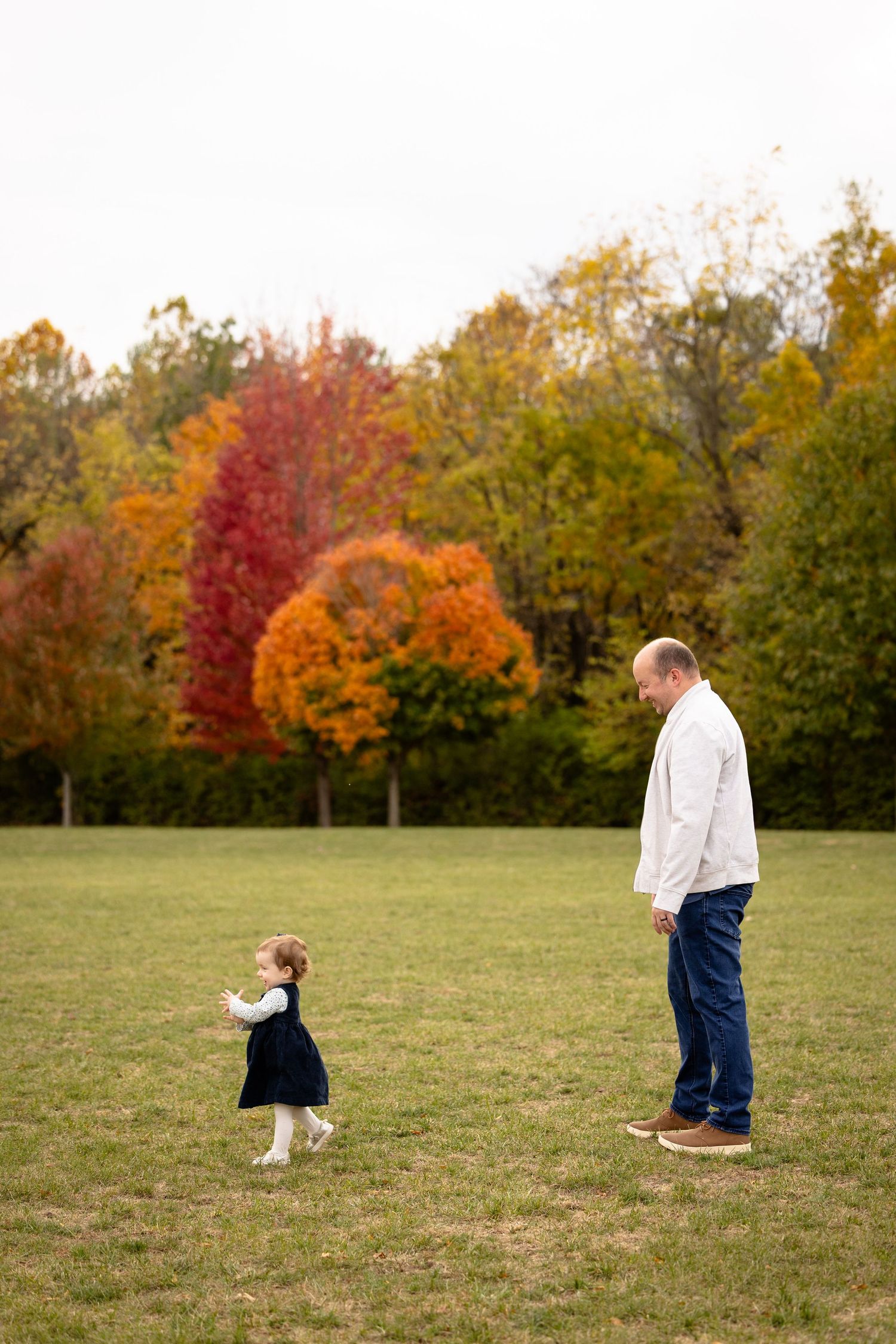 Sequence of playful movement in a field with vibrant fall foliage in background.