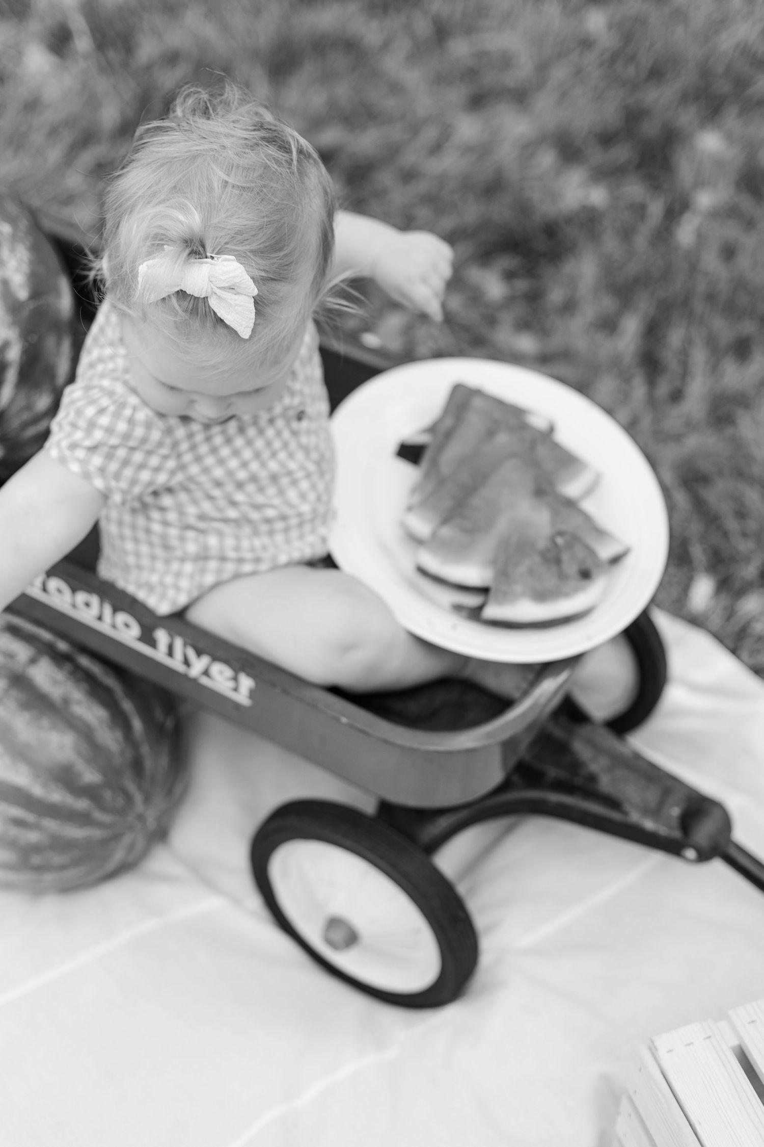 Black and white image of a little red wagon with watermelon and plates at Arbuckle Acres summer mini session by Katy Rose Photography.