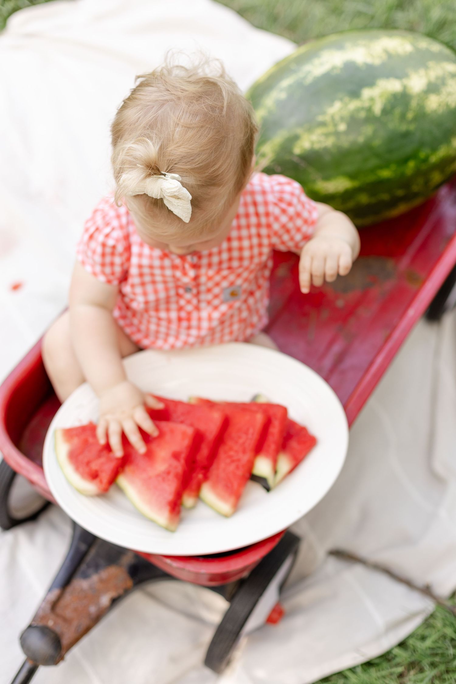 Overhead view of a small child enjoying fresh watermelon slices on a plate during summer mini session at Arbuckle Ares Park in Brownsburg