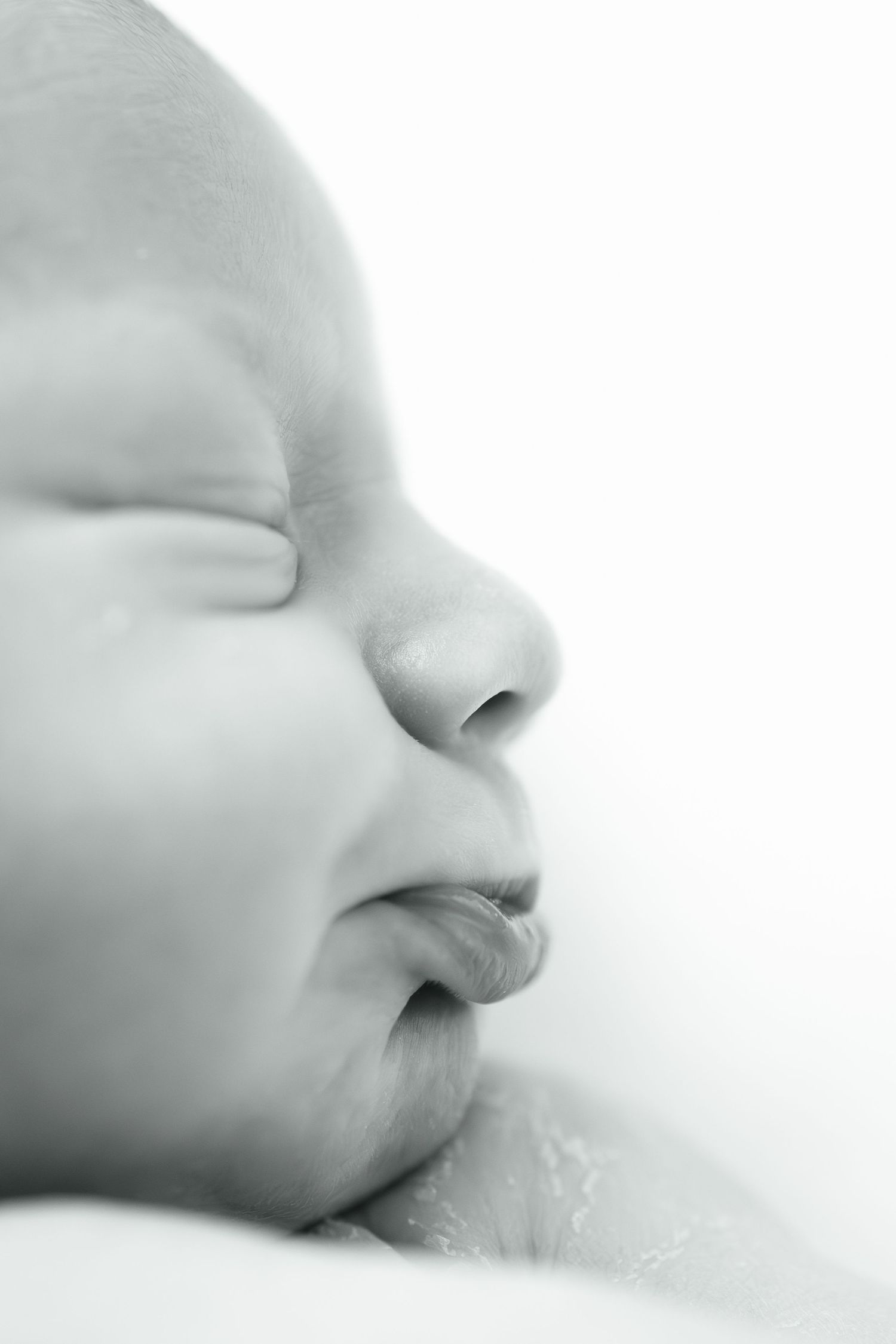 Close-up black and white portrait of a sleeping newborn baby with delicate features and soft skin.