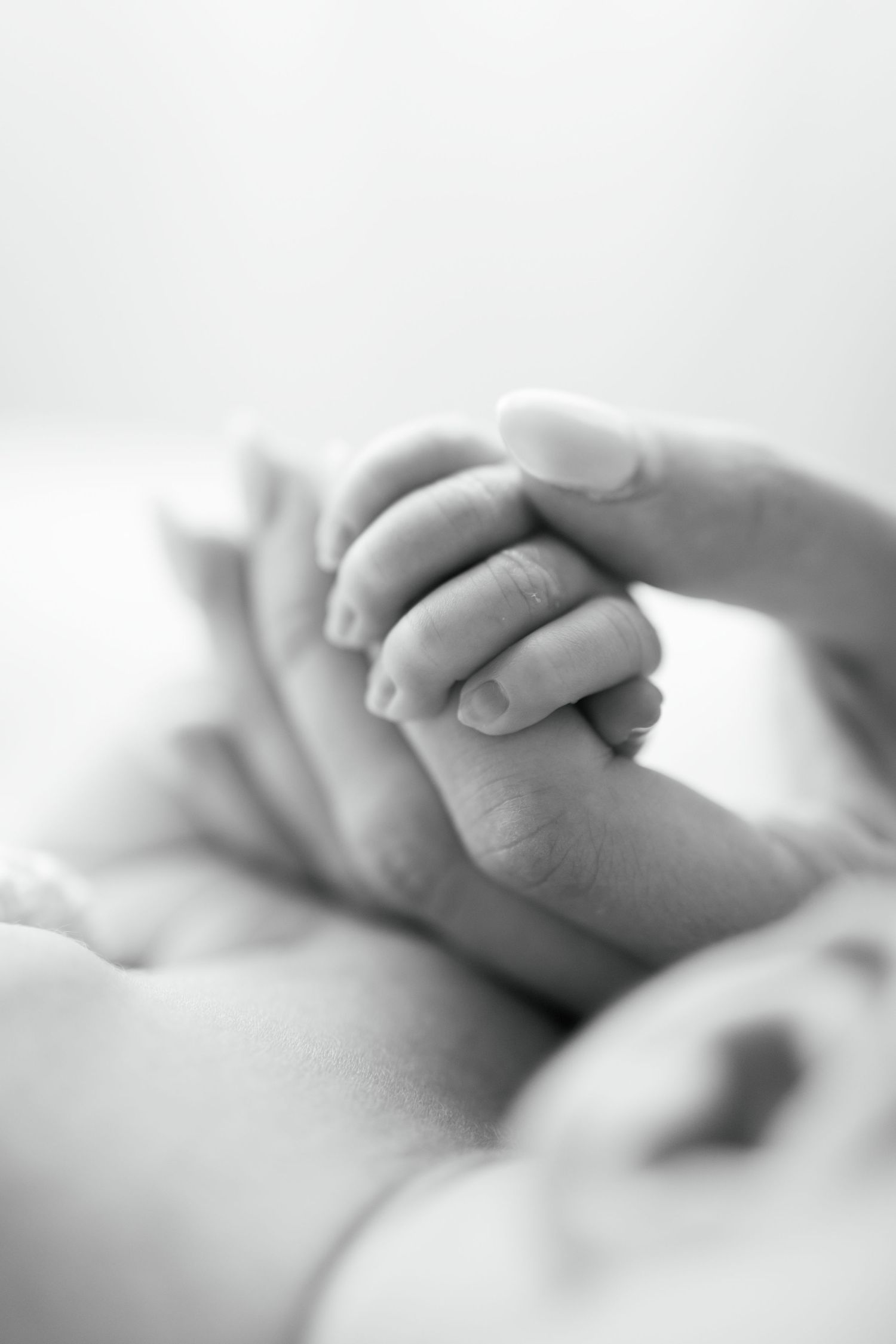 Black and white close-up of a newborn baby's tiny hand gently gripping an adult's finger.