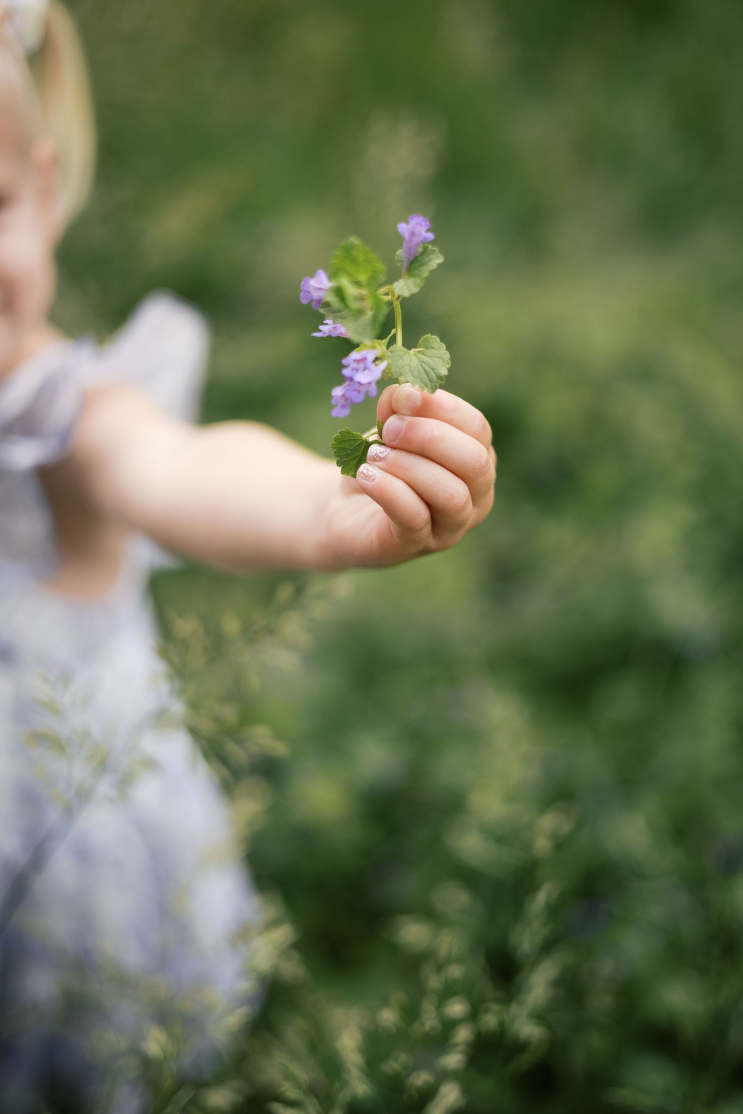 Close-up of child's tiny hand grasping delicate blooms during family portrait session in Indianapolis by Katy Rose Photography.