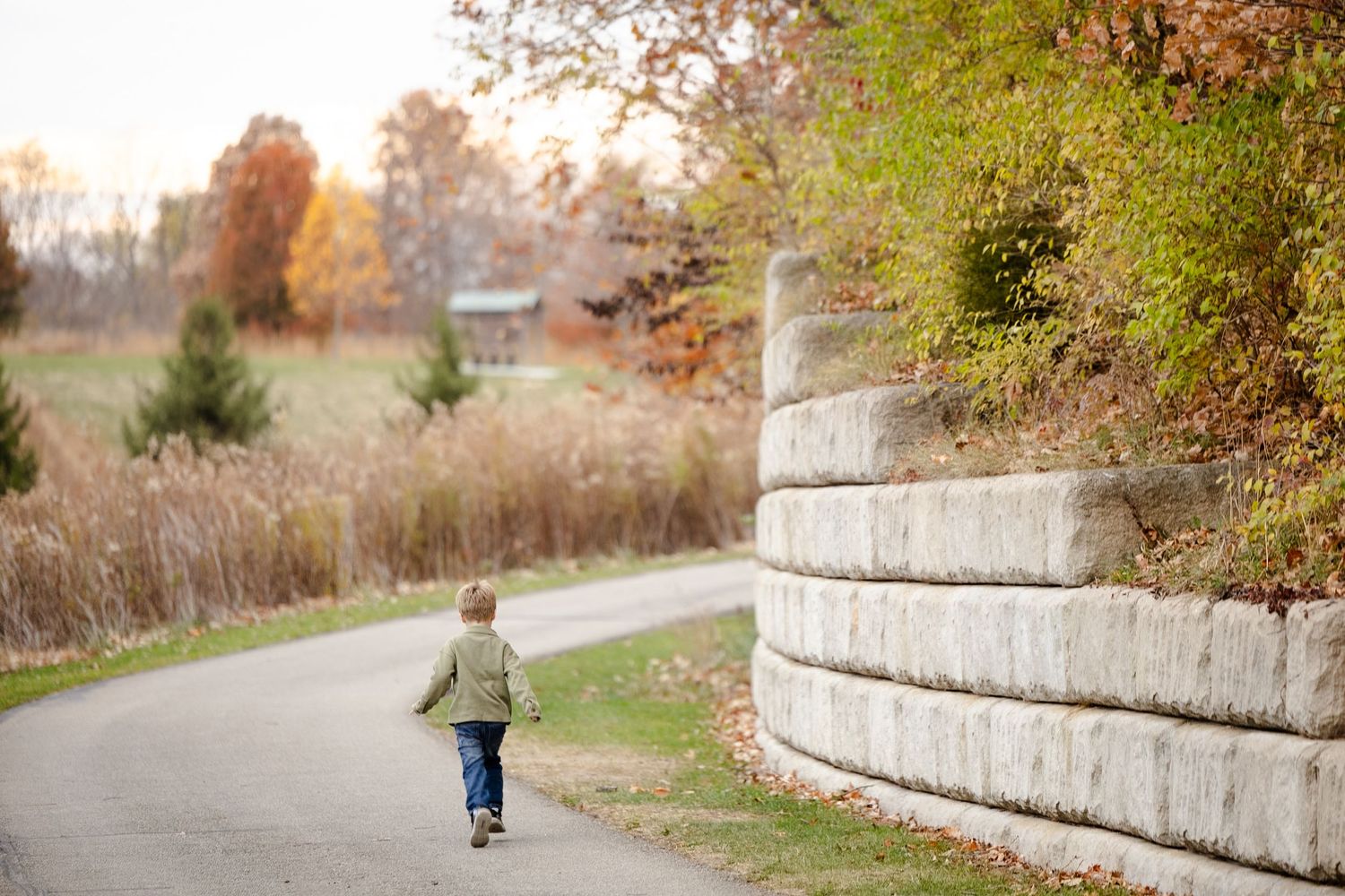 A stone wall lines a winding path through autumn foliage in a park setting during family photos in Avon, Indiana.