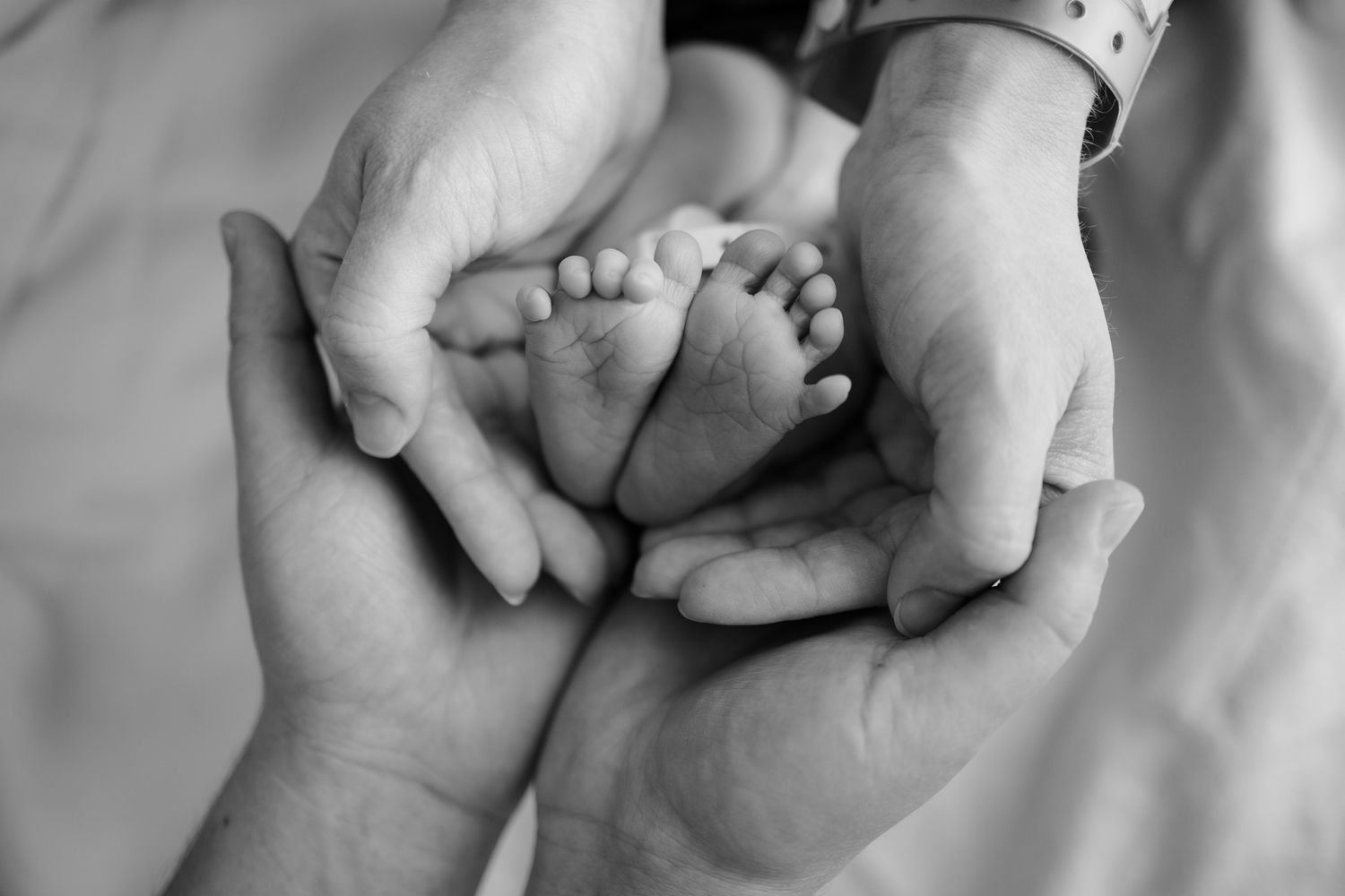 Close-up of tiny baby feet being held in adult hands.
