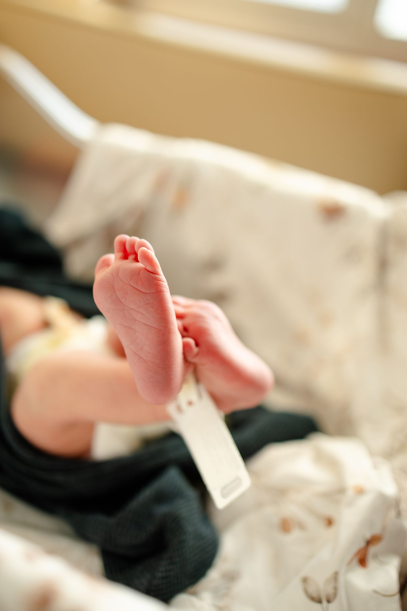 Tiny baby feet during Fresh 48 session in Hendricks County by Katy Rose Photography