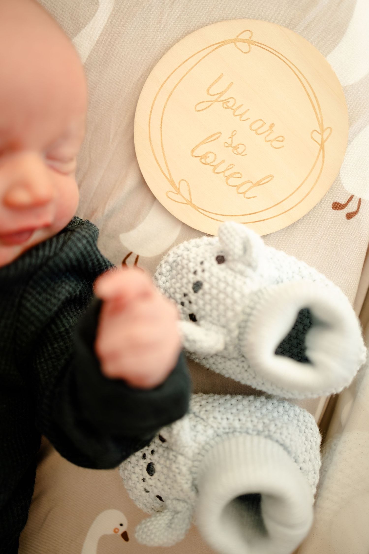 Baby in bassinet during Fresh 48 Session in Hendricks County by Katy Rose Photography