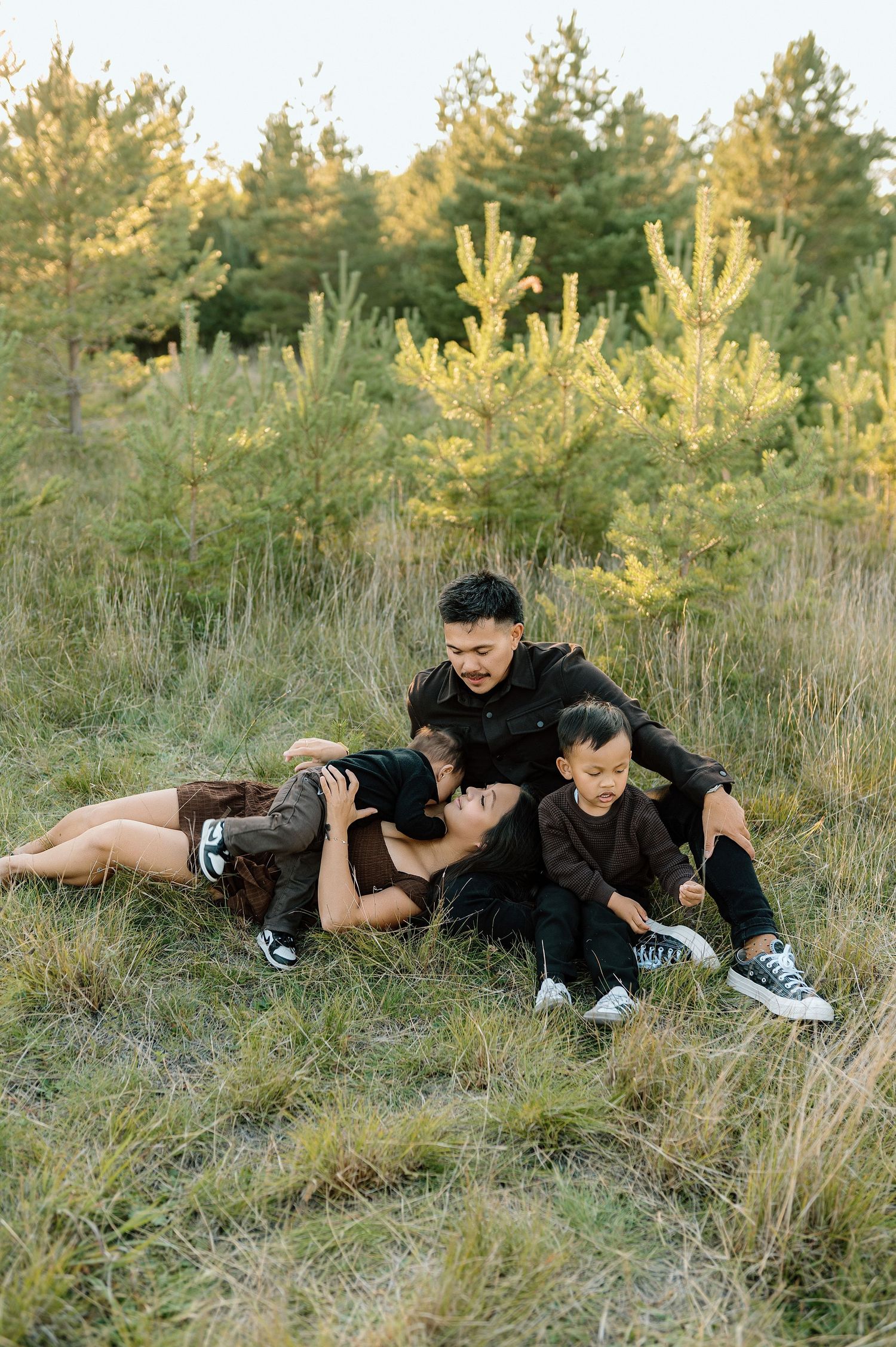 Family of four sitting together in a grassy field surrounded by young pine trees at golden hour.