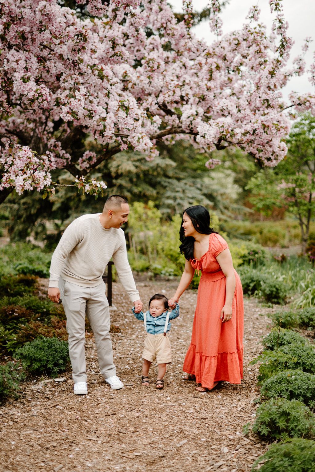 Young family walks hand-in-hand with toddler beneath pink cherry blossom tree.