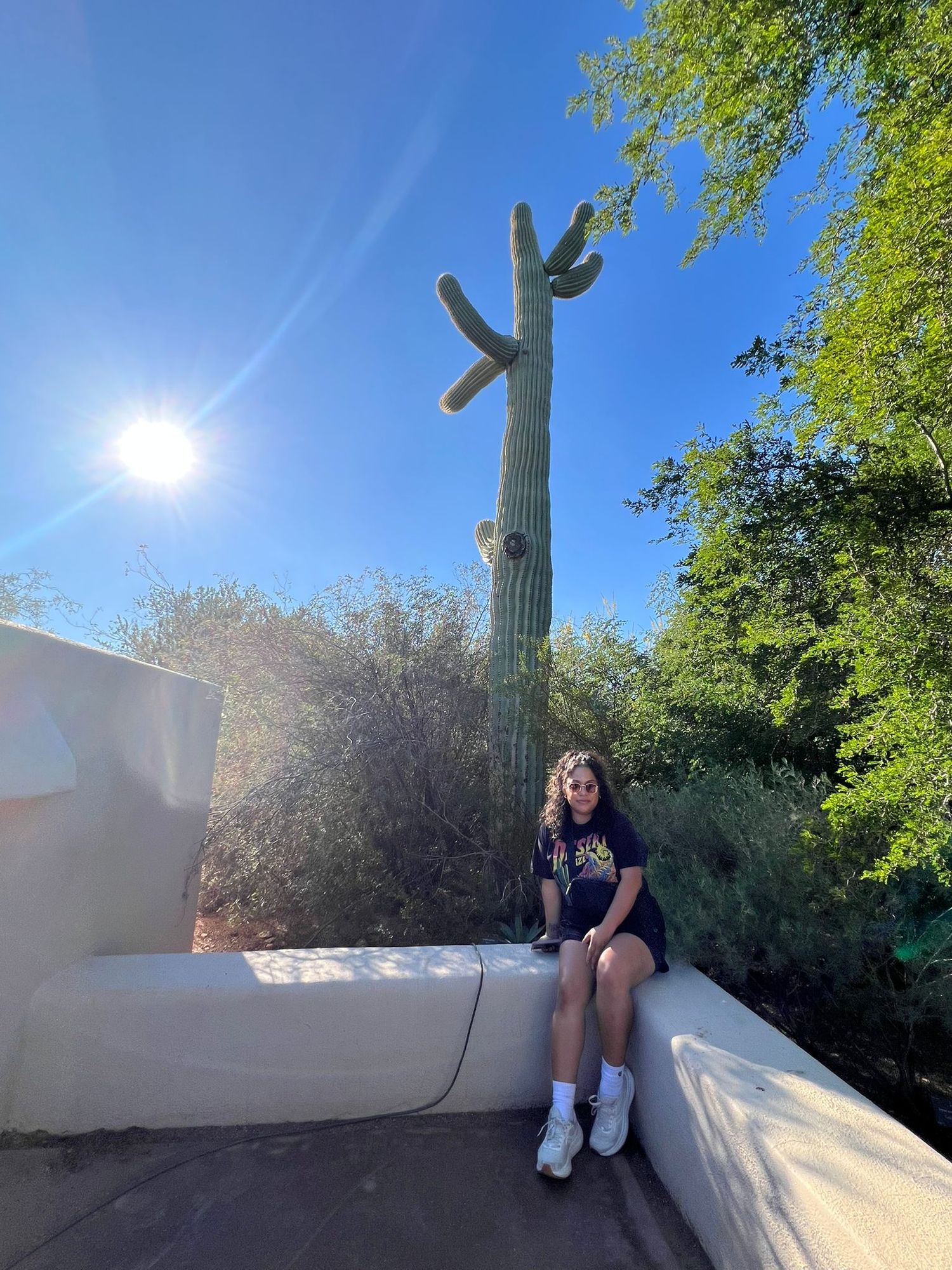 Woman sitting on white wall beside tall saguaro cactus in bright Arizona sunshine.