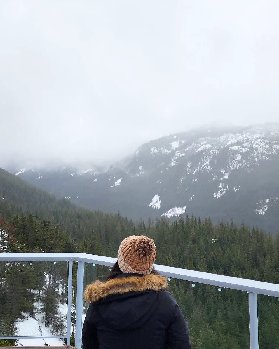 Person in winter jacket and beige knit hat gazing at snow-capped misty mountain forest landscape.