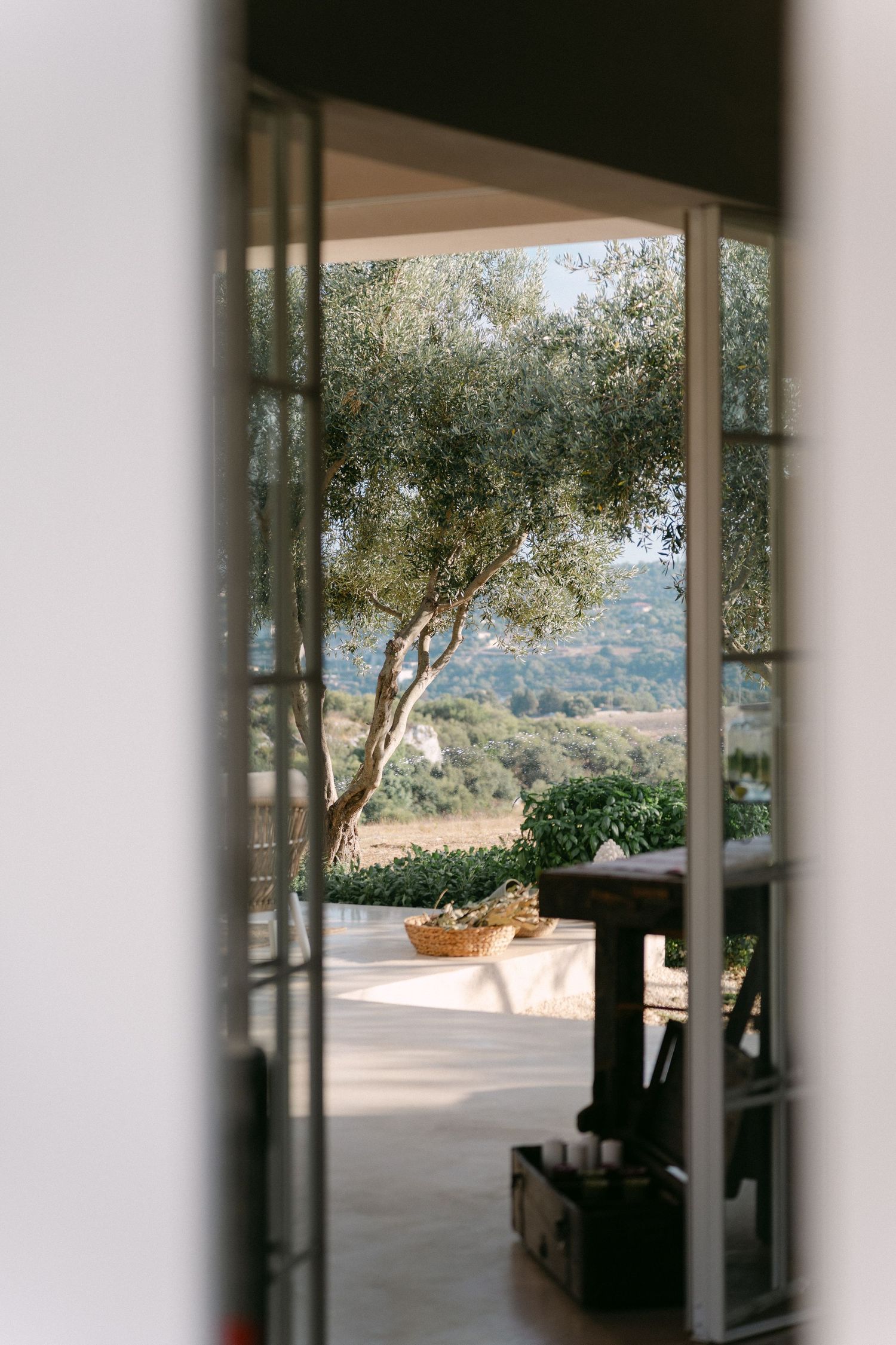 Interior view through large windows showing olive trees and distant landscape.