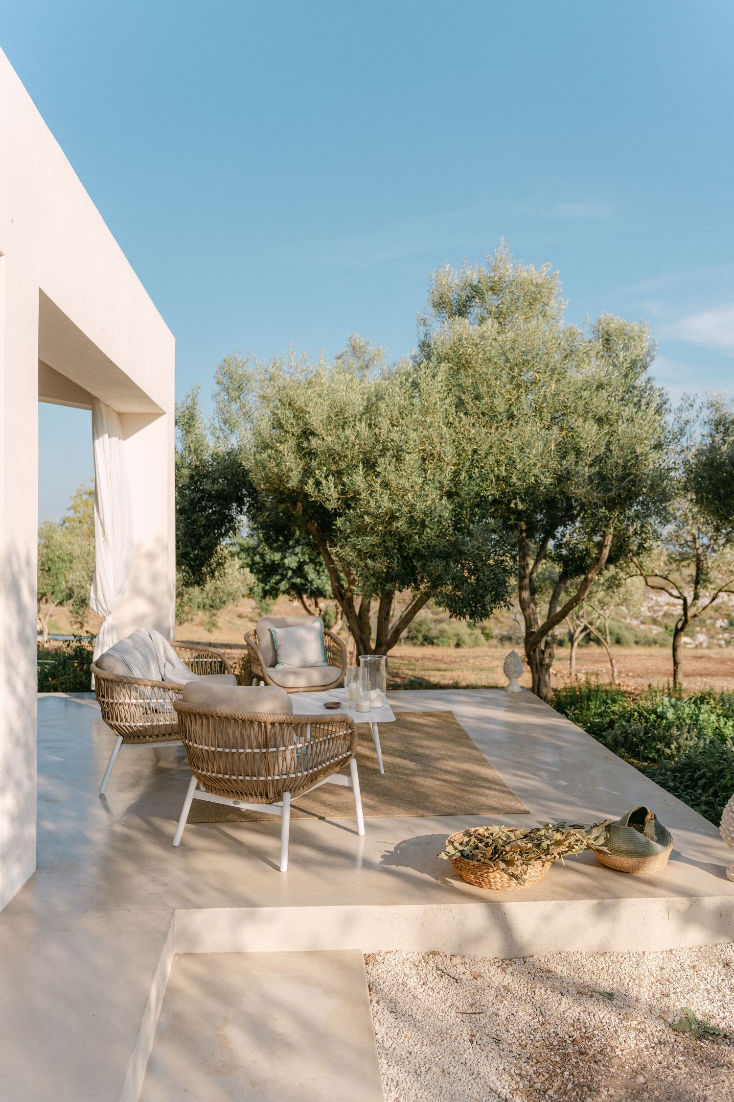 Serene patio setting with wicker furniture and olive trees against a bright blue sky.