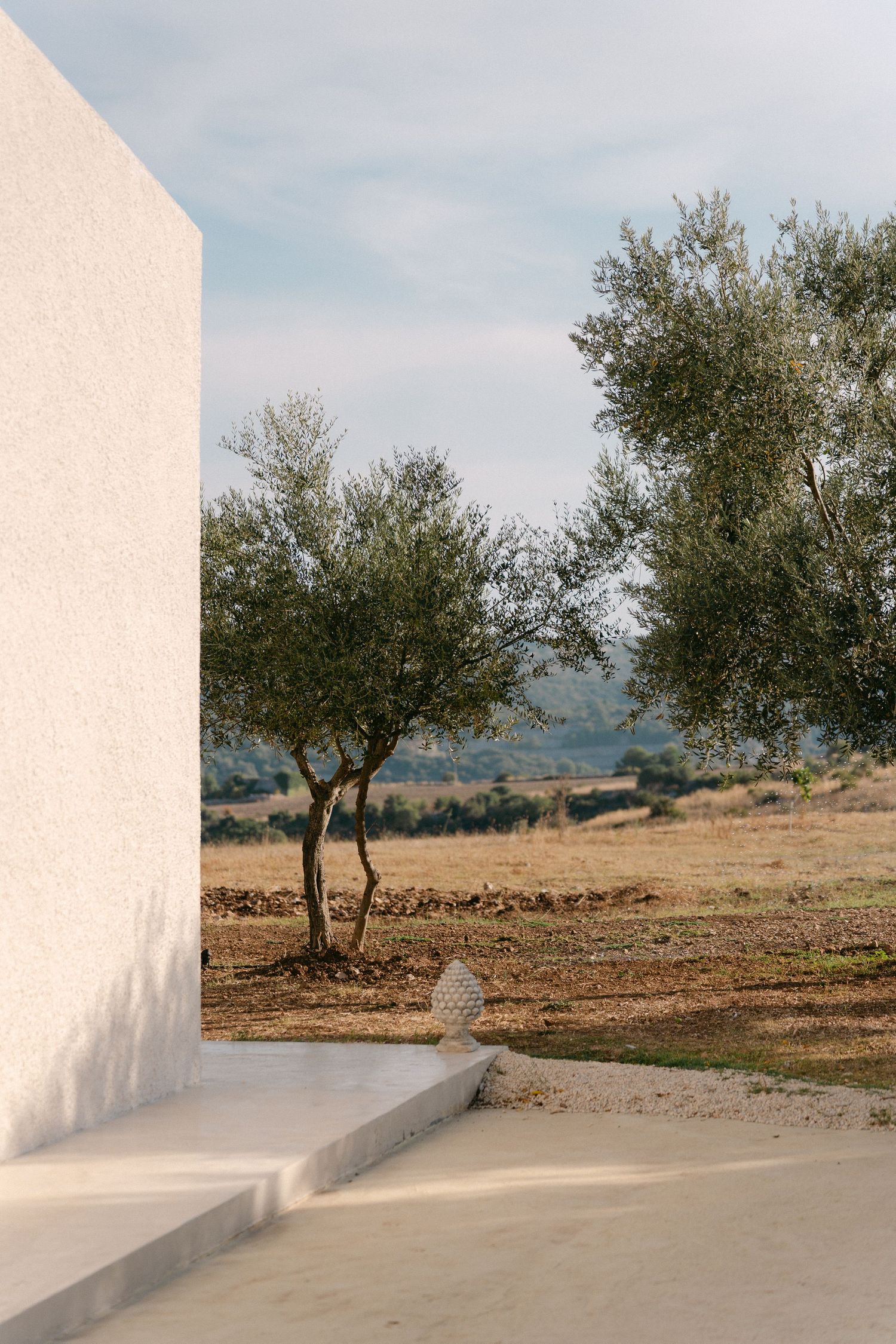 Minimalist white building corner with olive trees and rural countryside views in the background.