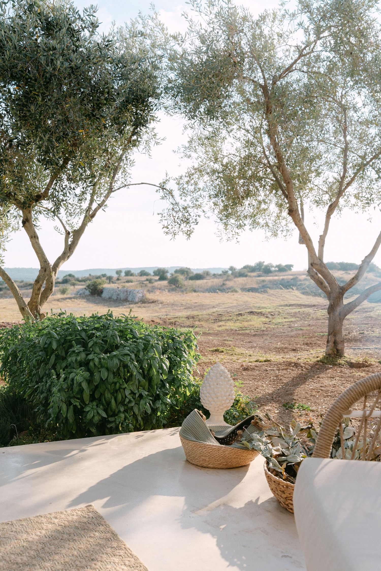 Olive trees and curved white walls framing a desert landscape view.