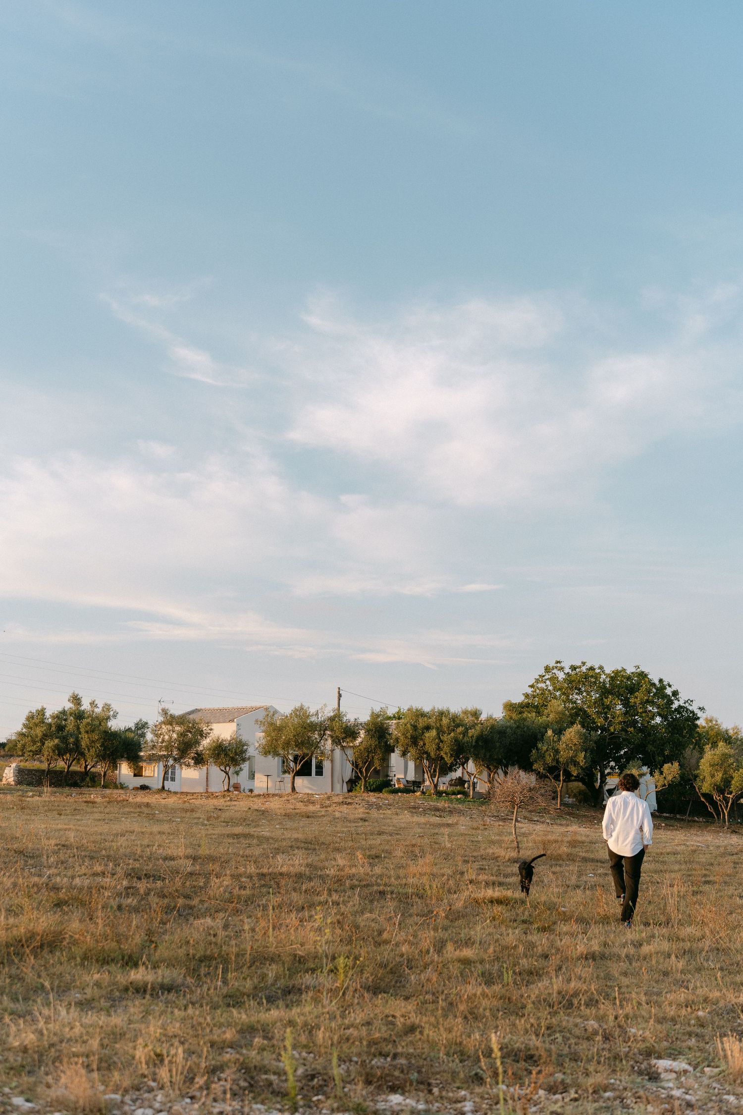 A lone figure stands in a dry field against a pale blue sky with distant buildings.