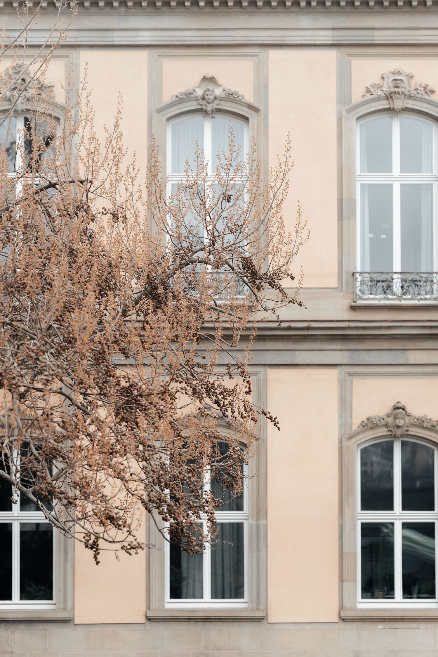 Classical beige building facade with ornate arched windows and decorative moldings, framed by a bare winter tree branch.