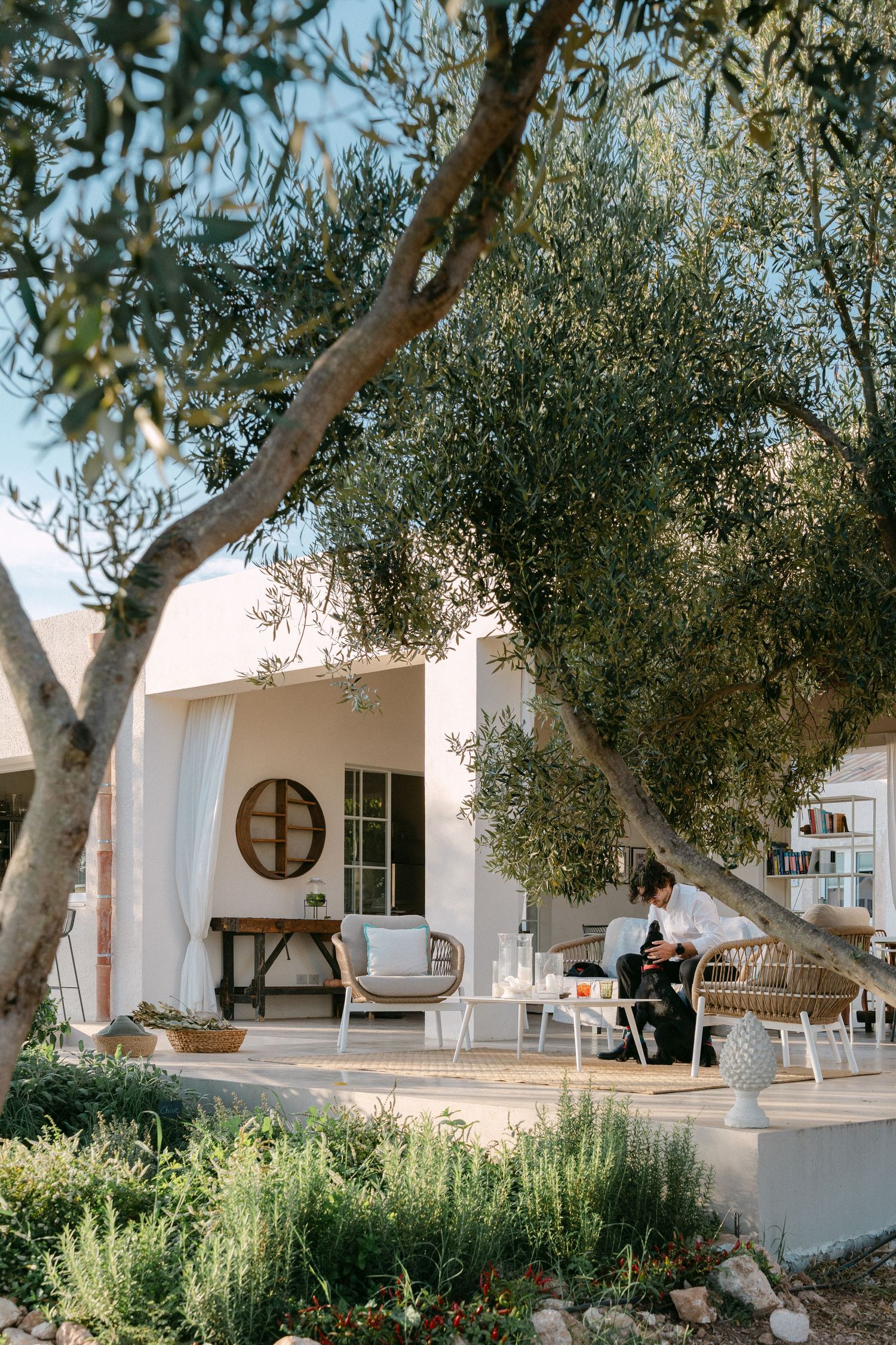 Mediterranean courtyard with white buildings and olive trees providing natural shade.