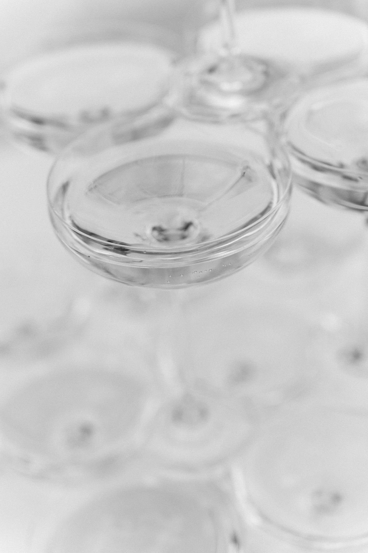 Abstract black and white macro photography of glass wine stems creating delicate circular patterns and reflections. Villa Mosconi Bertani