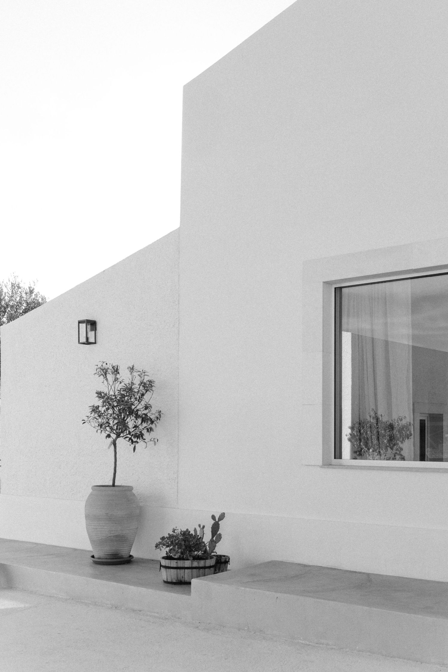 Black and white architectural photograph of modern building exterior with potted plants.