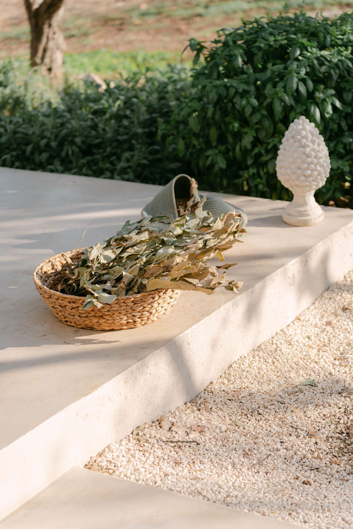 White decorative elements and dried plants arranged on a textured surface against a natural backdrop.
