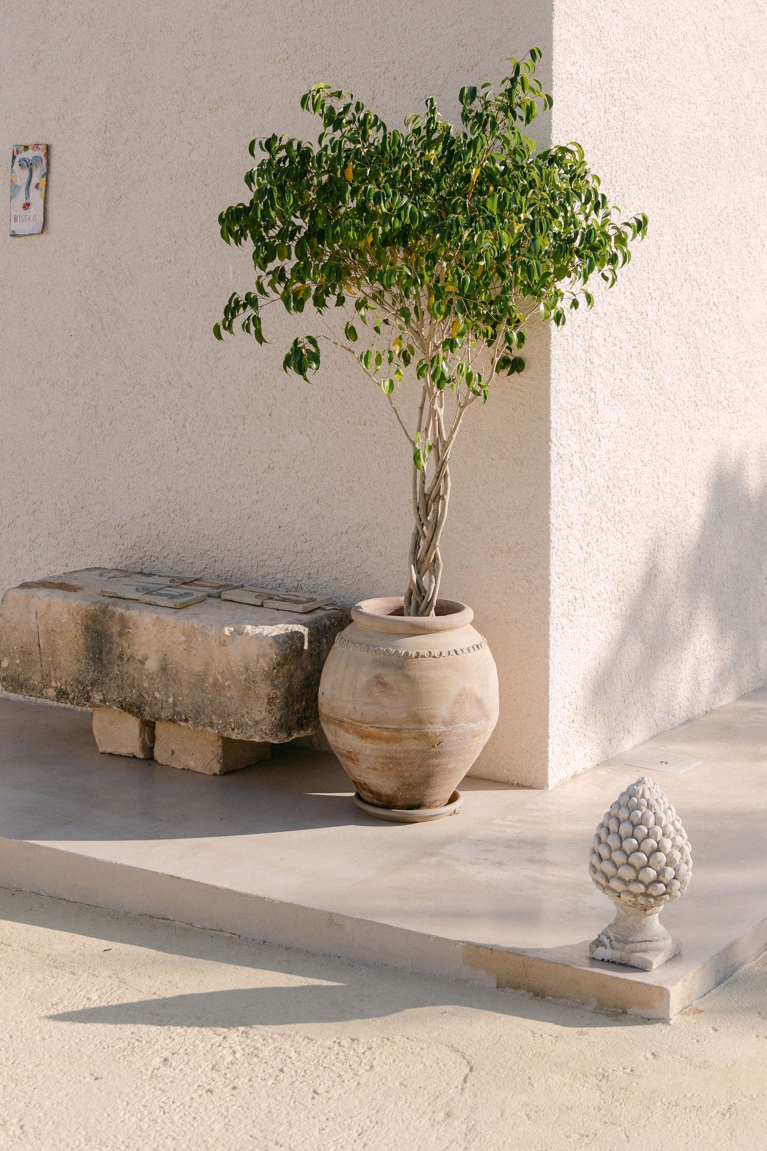 Decorative corner featuring a lush potted tree, stone bench, and ornamental finial.