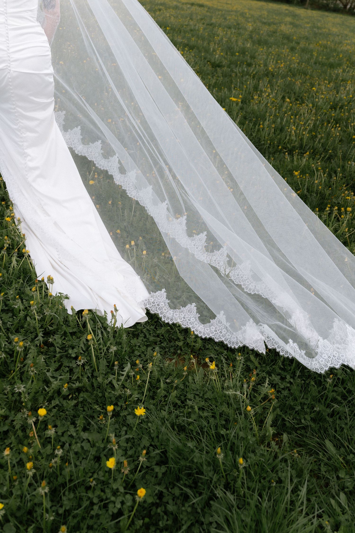 Bride's white lace-trimmed wedding veil flowing over green meadow with yellow wildflowers.