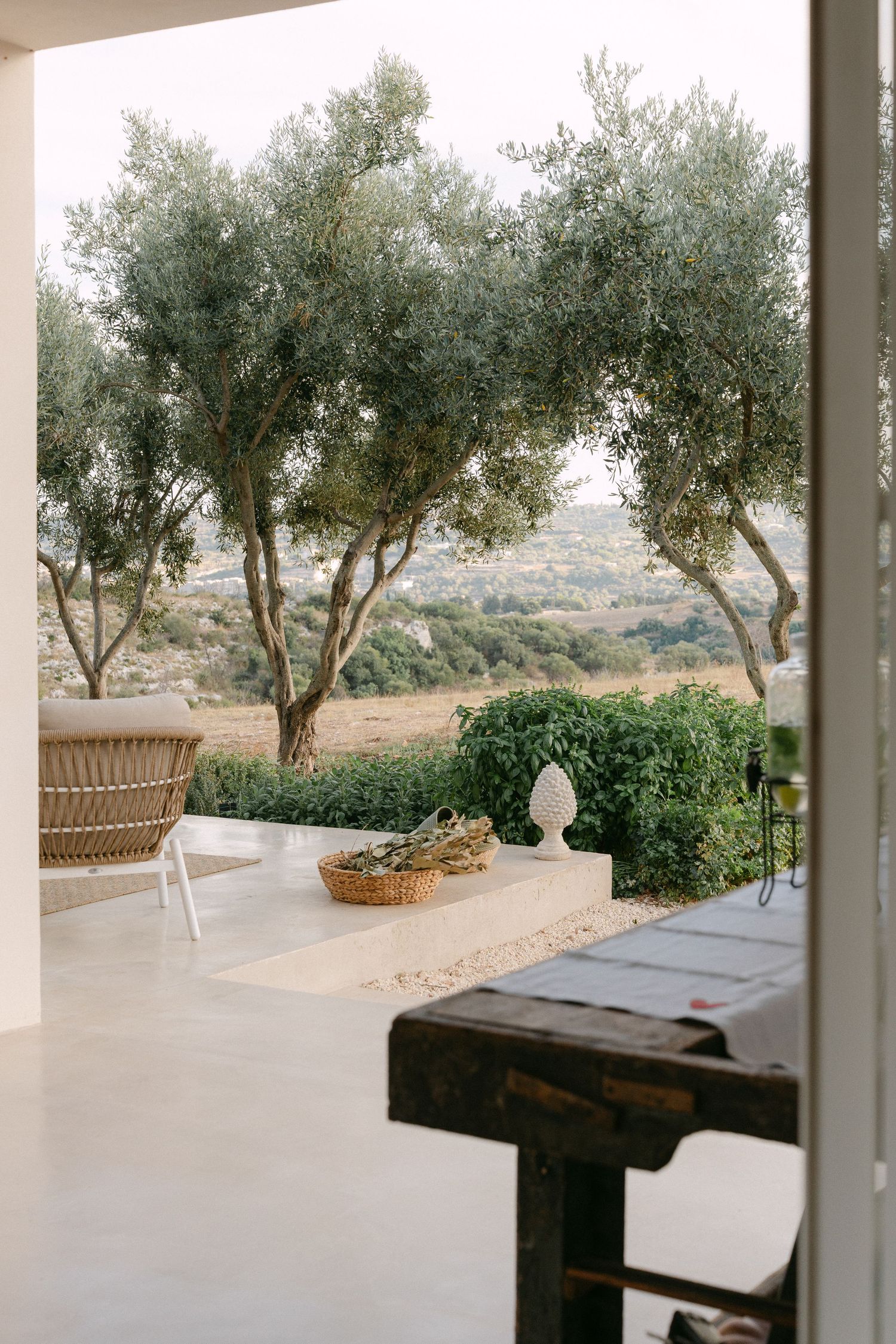 Serene terrace view through olive trees with wicker furniture and Mediterranean landscape beyond.