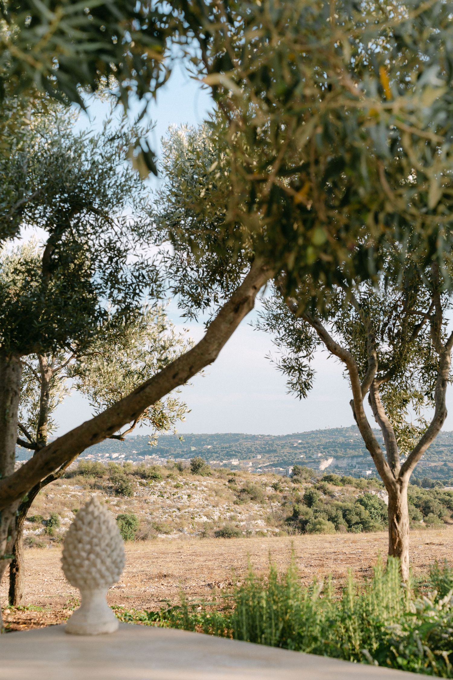 Mediterranean olive trees frame a scenic hillside view with a decorative stone finial in the foreground.