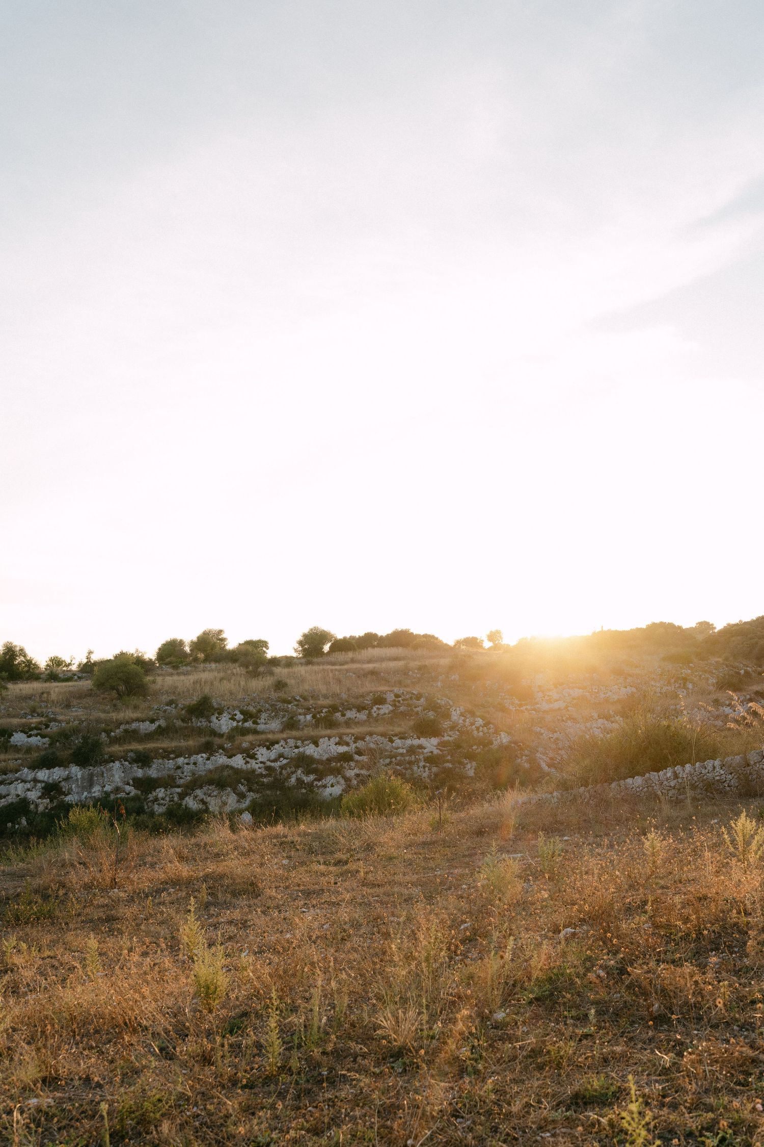 Golden sunset over a rocky hillside with dry grass and scattered vegetation.